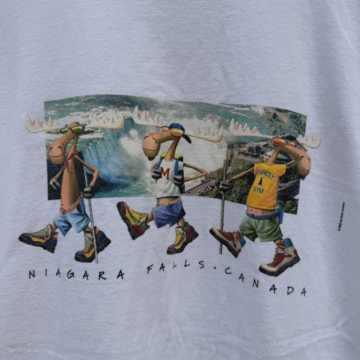 Outdoor Research 00’s Niagara Falls Canada 2002 Moose Climbing T-shirt Size US L / EU 52-54 / 3 - 2 Thumbnail