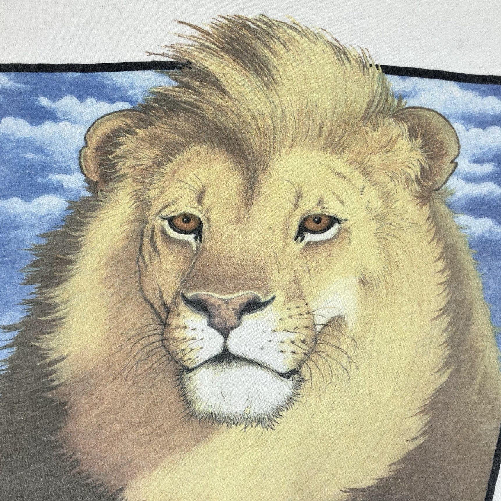 Anvil VINTAGE Lion Portrait Shirt Mens L White 90s Anvil HUMAN I TEE Single Stitch Crew Neck Short Sleeve Cotton Logo T-Shirt Size US L / EU 52-54 / 3 - 5 Thumbnail