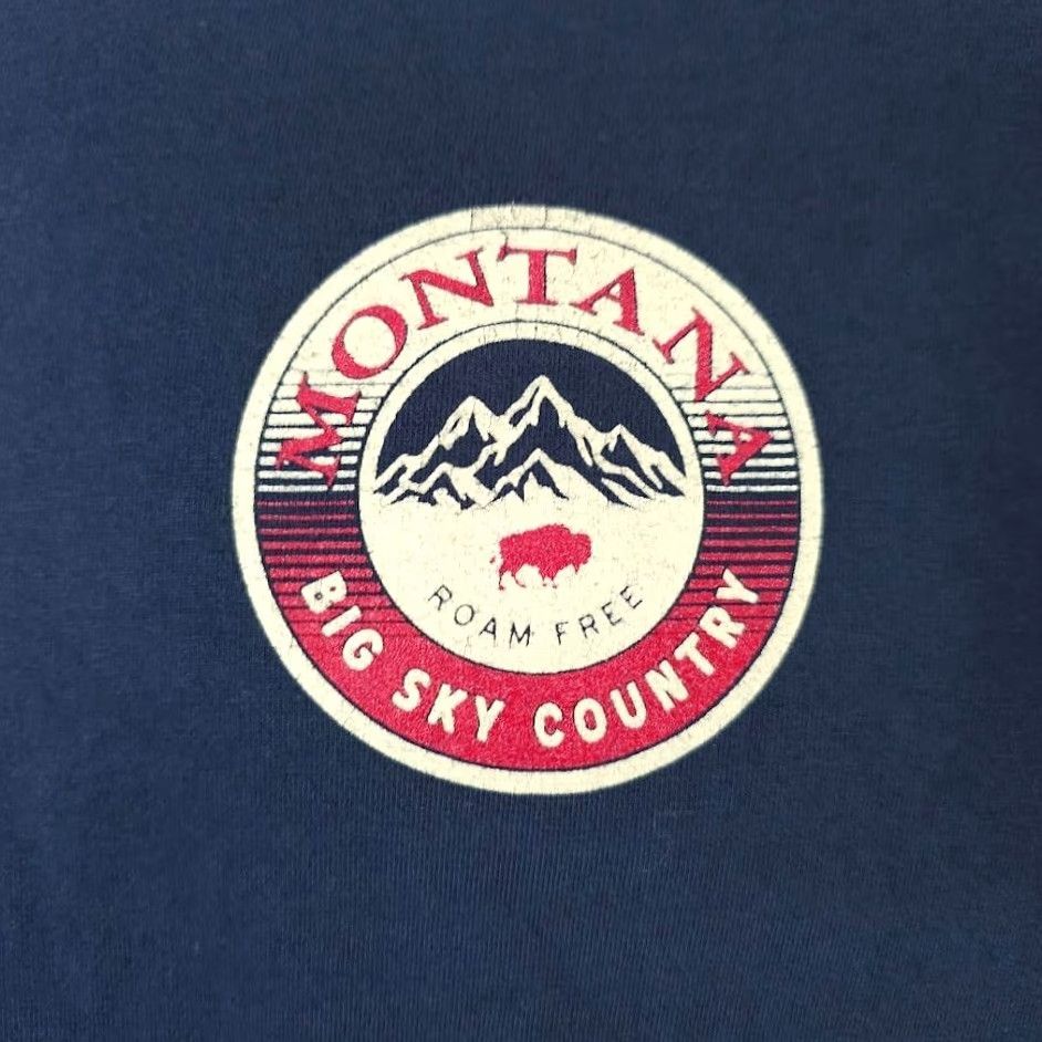 Vintage Montana T Shirt Mens L Blue Big Sky Country Free To Roam Destination Nike Size US L / EU 52-54 / 3 - 3 Thumbnail