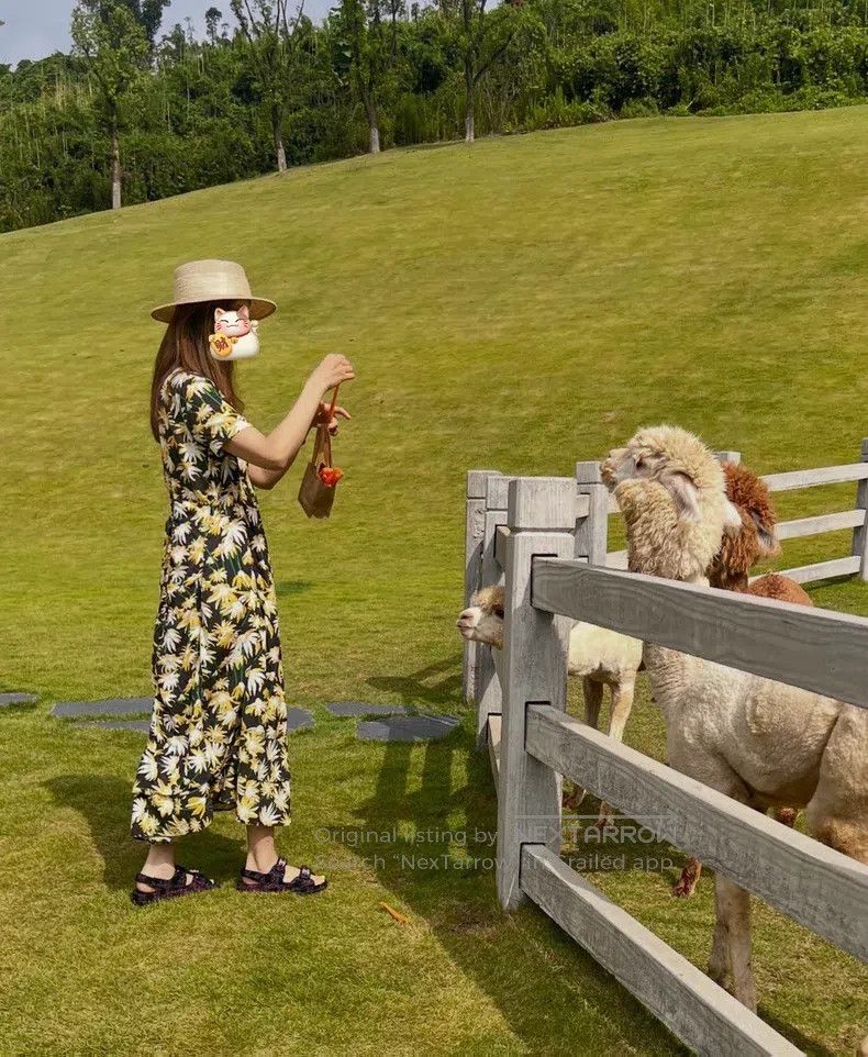 Loewe Loewe Dress Size S / US 4 / IT 40 - 6 Thumbnail