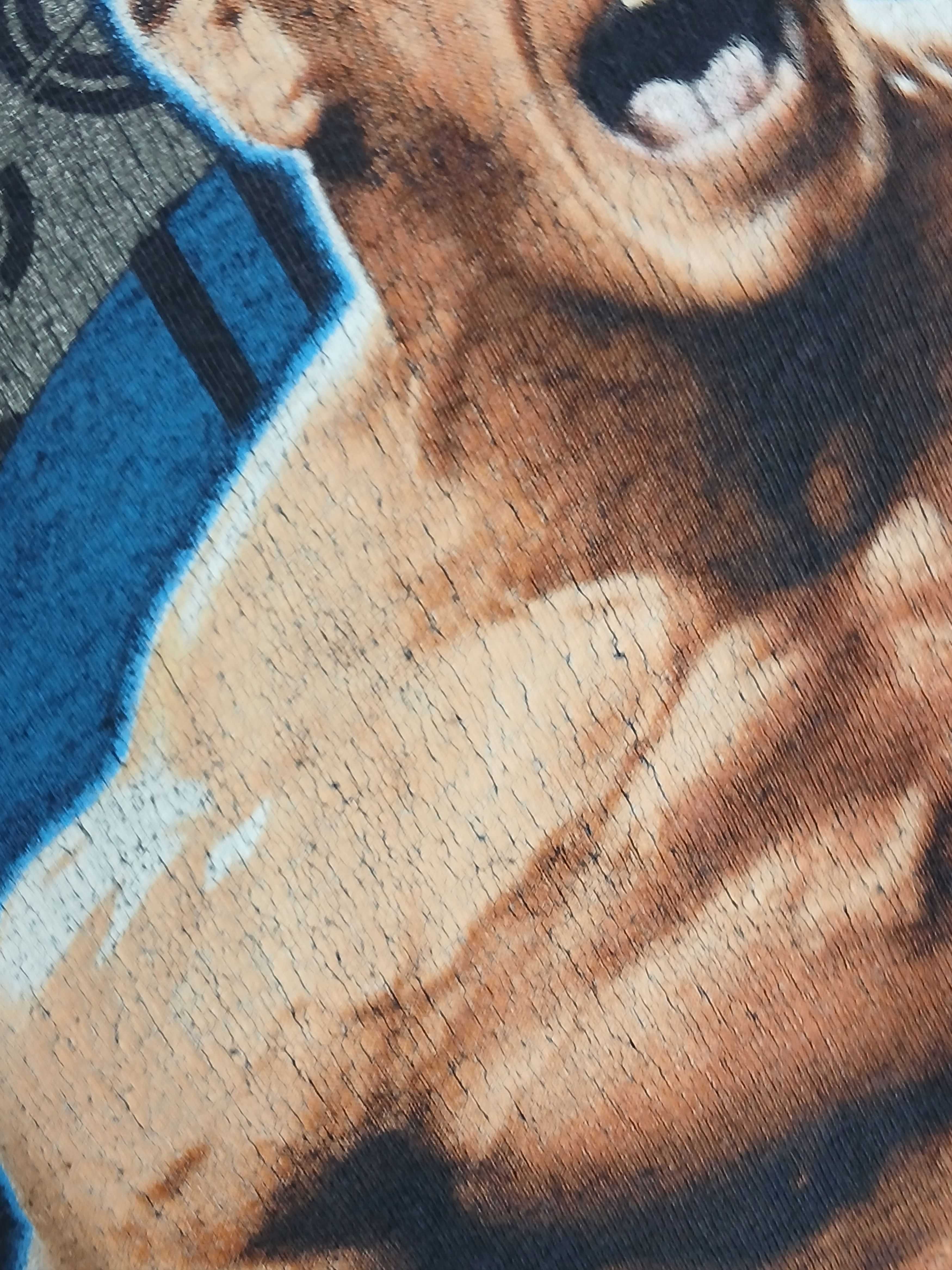 WWE × WWF WWE John Cena Wrestling T-Shirt Size US M / EU 48-50 / 2 - 5 Thumbnail