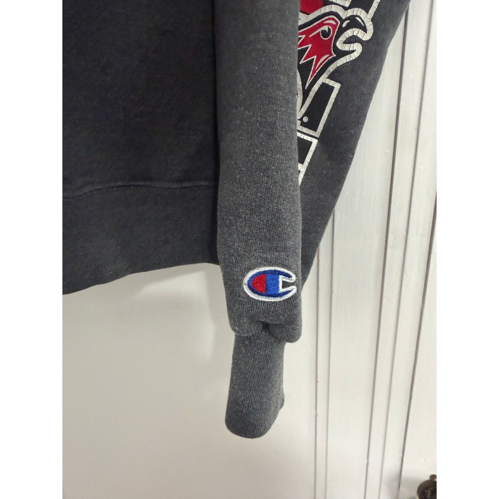 Champion UW River Falls Falcons Champion Hoodie Size Large Size US L / EU 52-54 / 3 - 4 Thumbnail
