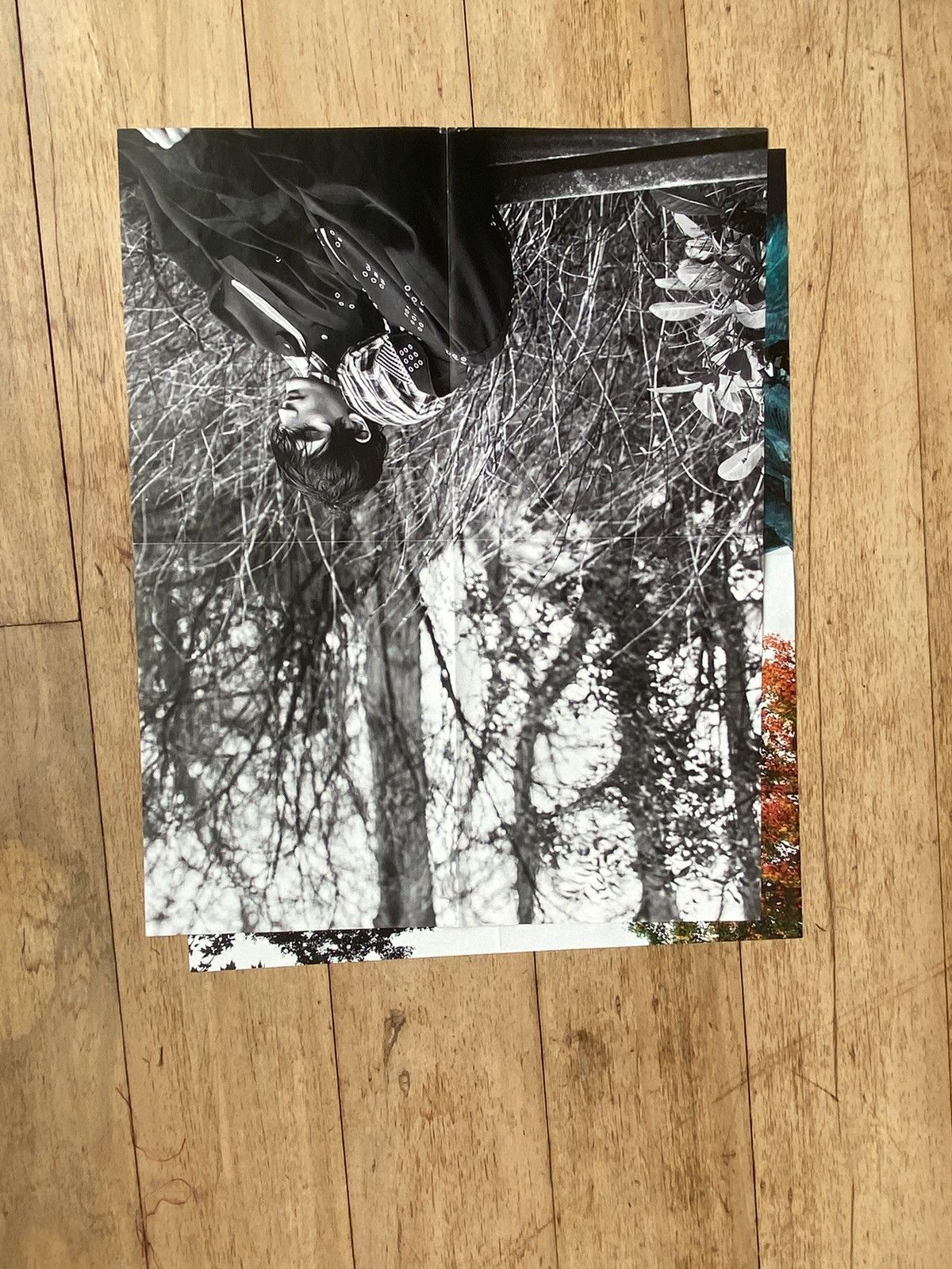 Raf Simons Raf Simons x Willy Vanderperre 10 works for Raf Simons Size ONE SIZE - 6 Thumbnail