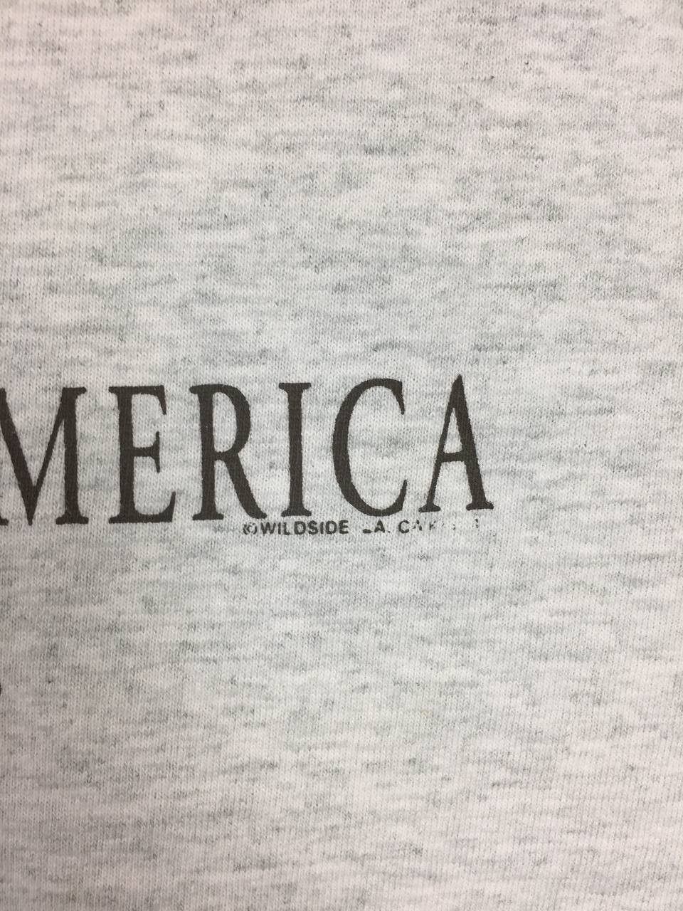 Vintage Vtg Y2k FOTL God Bless America Graphic Tee Size US L / EU 52-54 / 3 - 4 Thumbnail