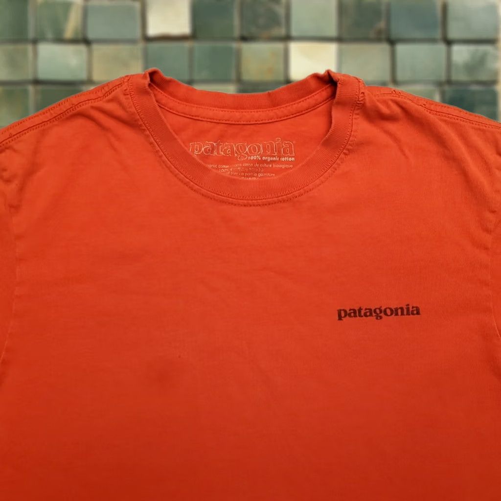 Patagonia Patagonia Crewneck Shirt Mens Small Orange Short Sleeve Jersey T-Shirt Logo Graphic Nature Outdoor 90s Mens Size US S / EU 44-46 / 1 - 1 Thumbnail