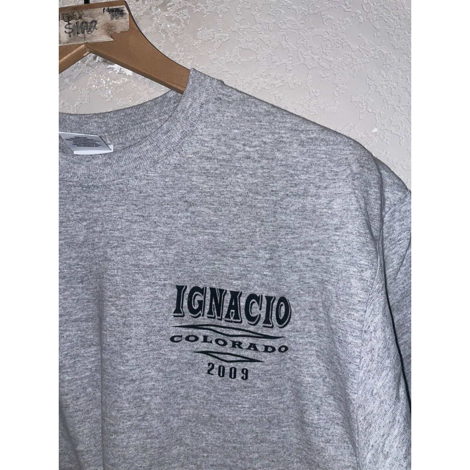 Gildan Ignacio CO Colorado Hog Biker Graphic M Gray Tee 2000s Size US M / EU 48-50 / 2 - 3 Thumbnail