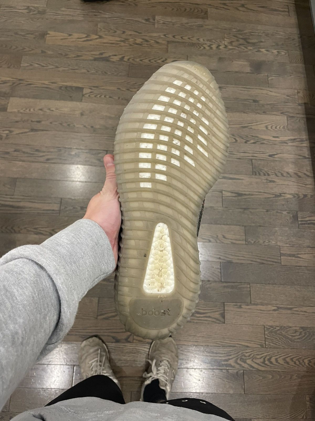 Adidas Yeezy boost 350 V2 Beluga