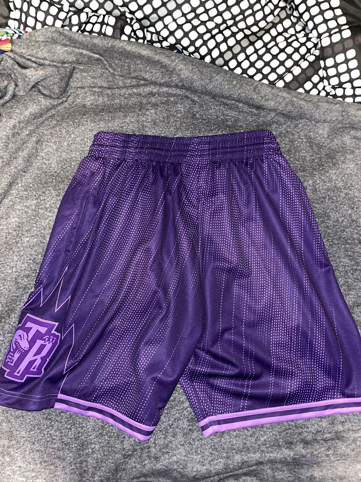 Mitchell & Ness Toronto Raptors Monochrome Shorts Size US 36 / EU 52 - 2 Thumbnail