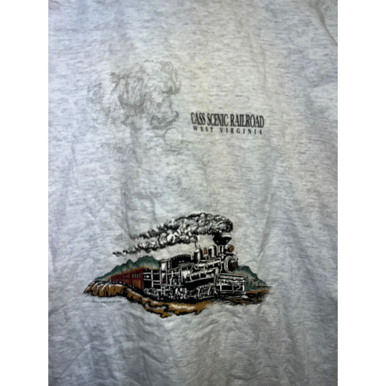 Jerzees Vintage Virginia Shirt Scenic railroad Test Print Tee 90s XL Size US XL / EU 56 / 4 - 7 Thumbnail