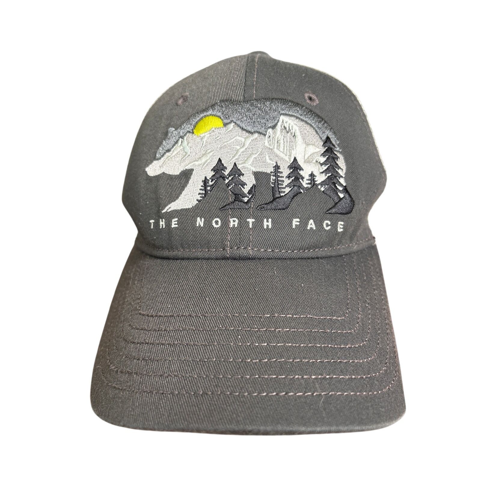 The North Face The North Face Bear Mountains adjustable OSFA embroidered Size ONE SIZE - 1 Thumbnail