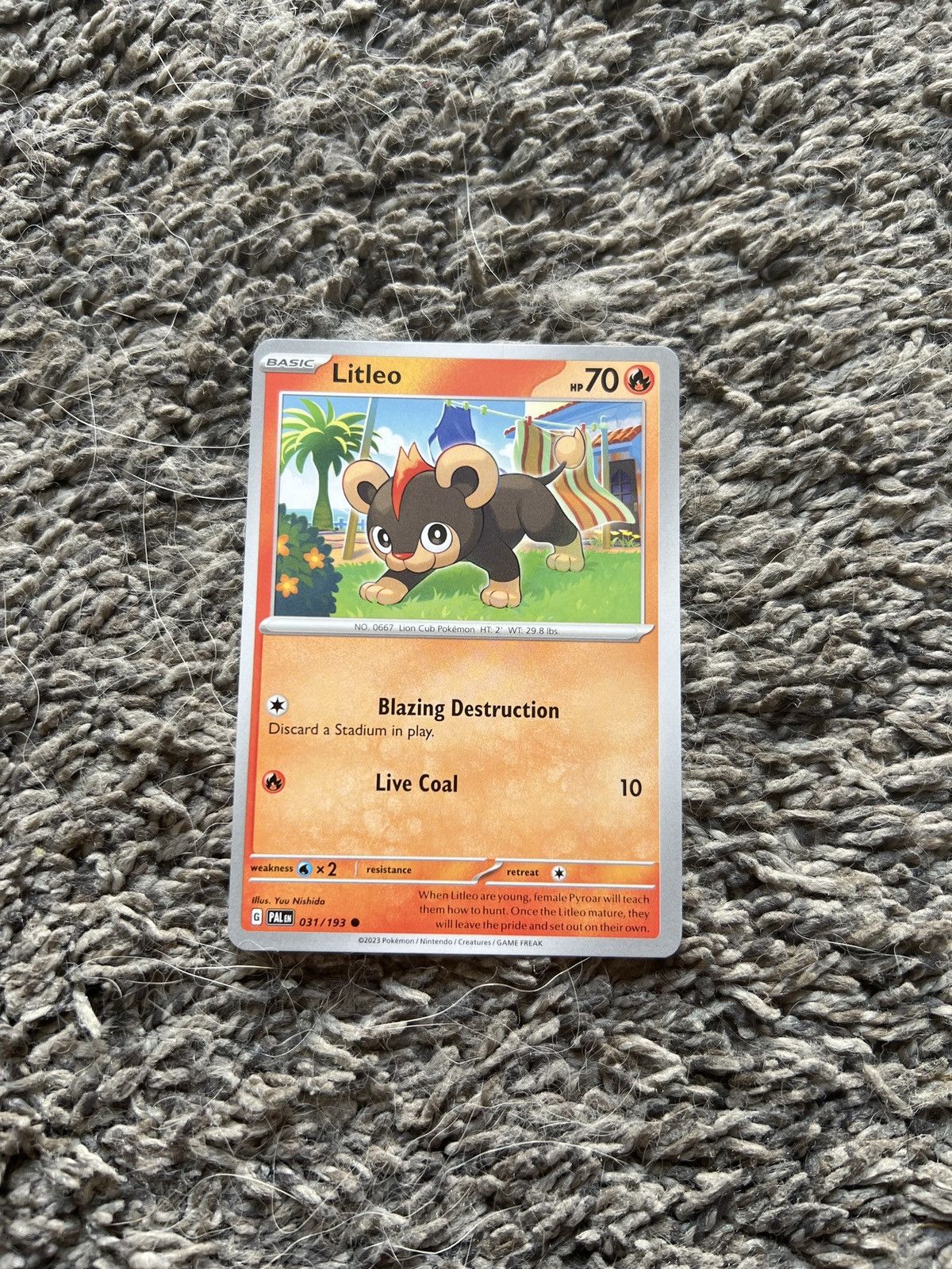 Hypebeast × Nintendo × Pokemon 2023 Pokémon Litleo Basic Card Size ONE SIZE - 1 Thumbnail