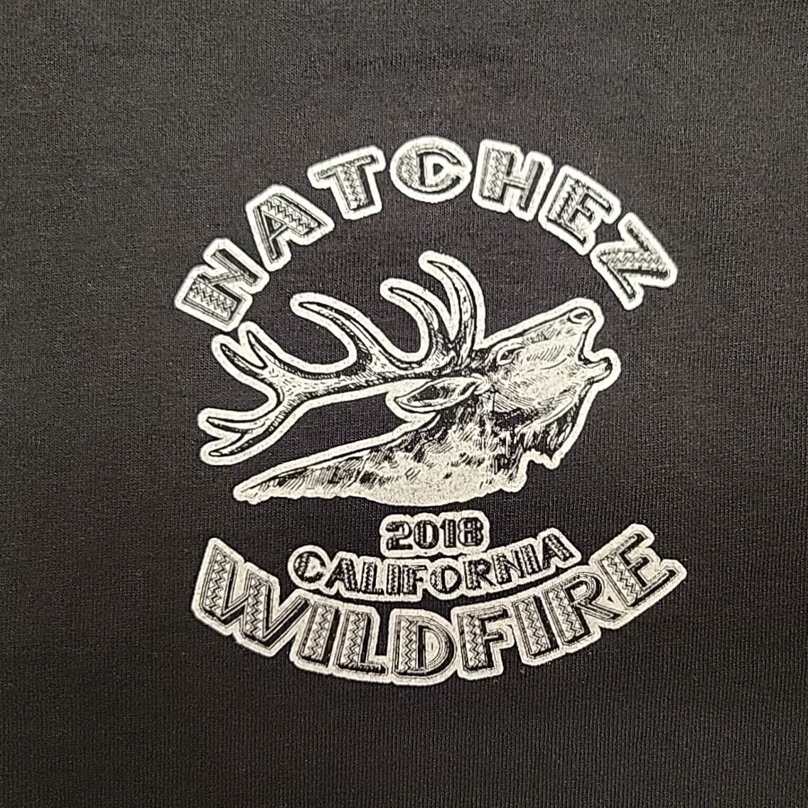 Hanes Wildland Firefighter Shirt Mens M 2018 Natchez Rouge River Klamath California Black Cotton Crew Neck Short Sleeve Graphic Print Angelfire? Size US M / EU 48-50 / 2 - 2 Thumbnail