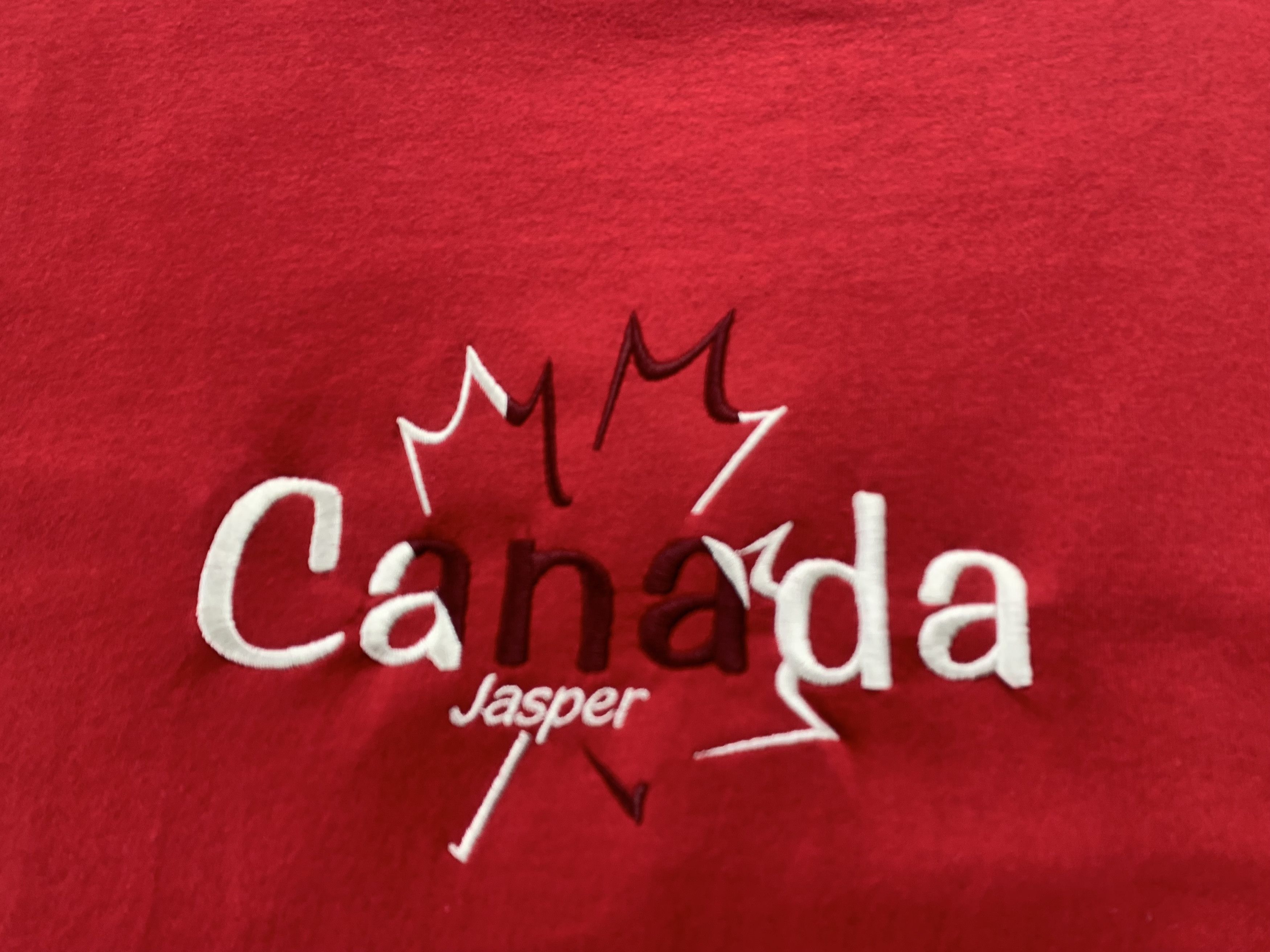 Alstyle Vintage Alstyle Canada Red Embroidered Maple Leaf T Shirt Size US L / EU 52-54 / 3 - 5 Thumbnail