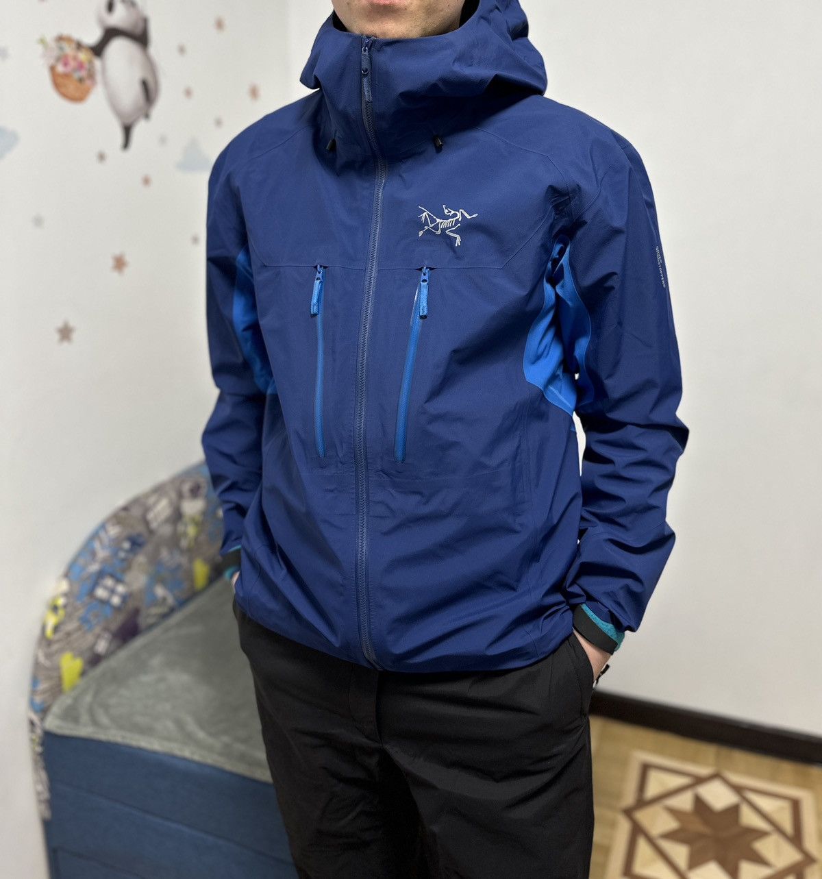 Arc'teryx Arc’teryx Procline Comp Jacket Gore Windstopper Sample Size US M / EU 48-50 / 2 - 21 Thumbnail