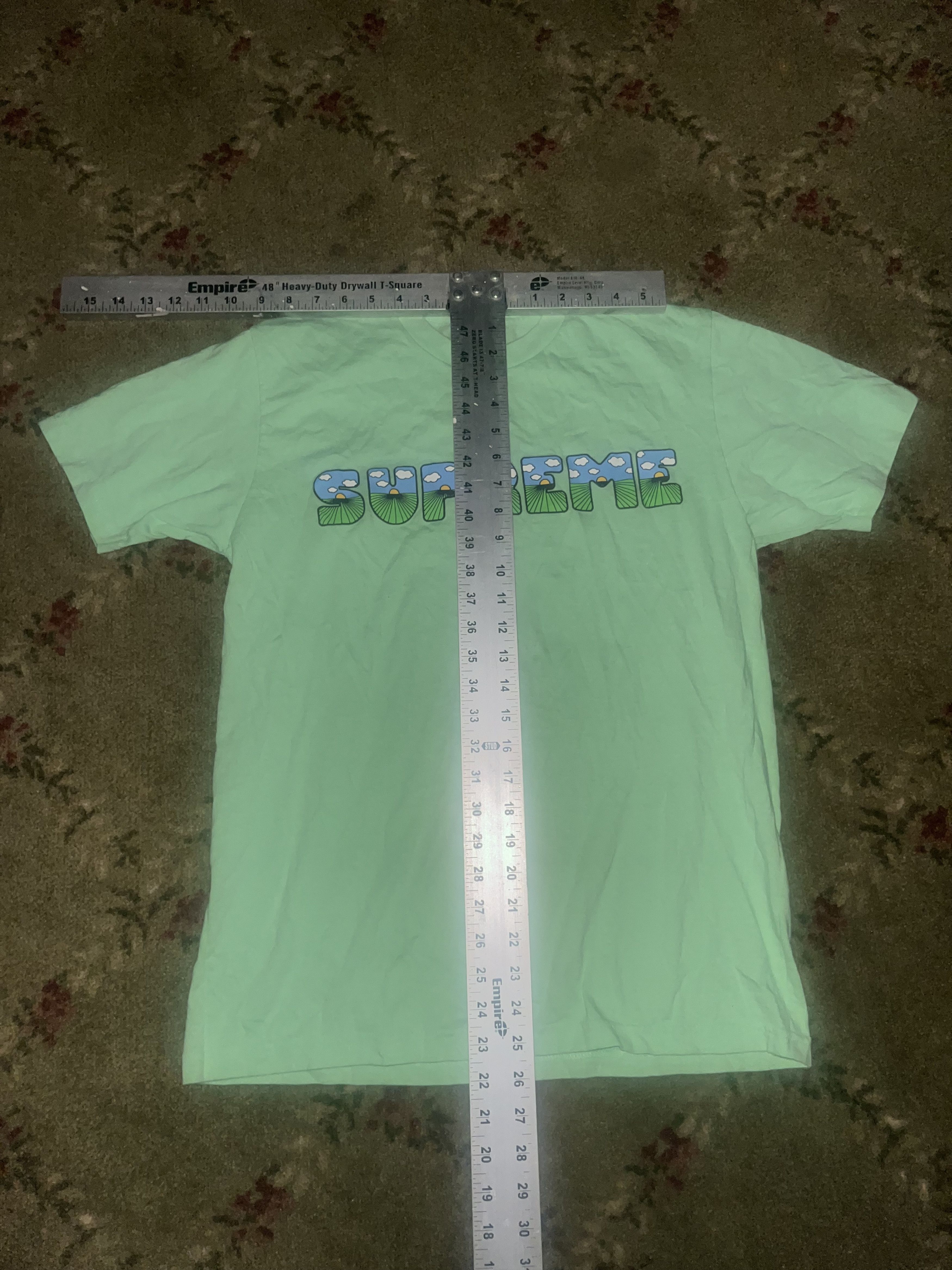 Supreme SS16 Supreme Mint This the 💩 Tee Size US M / EU 48-50 / 2 - 5 Thumbnail
