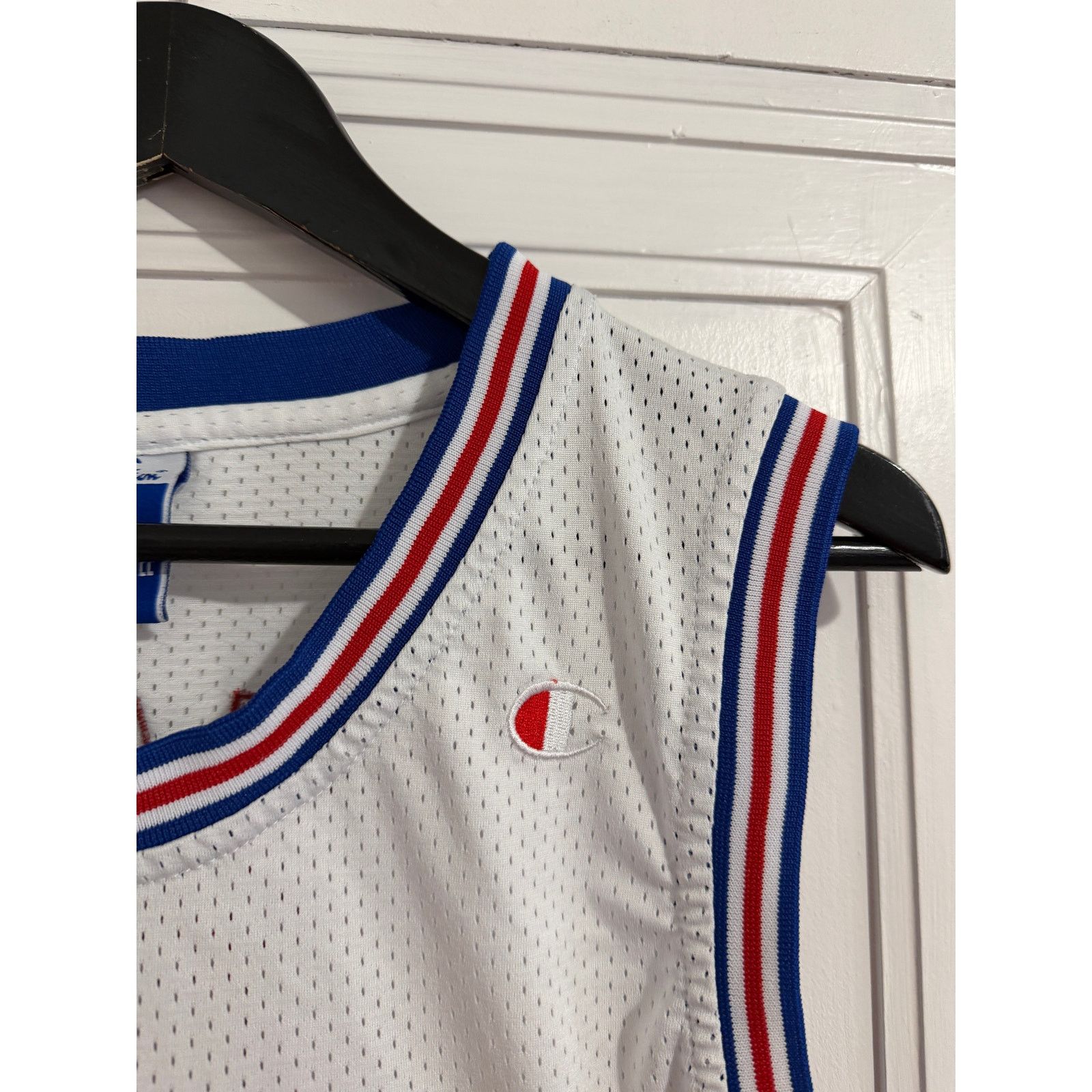 Champion Tasmanian Devil Taz Tune Squad Space Jam Jersey Size Large Size US L / EU 52-54 / 3 - 5 Thumbnail