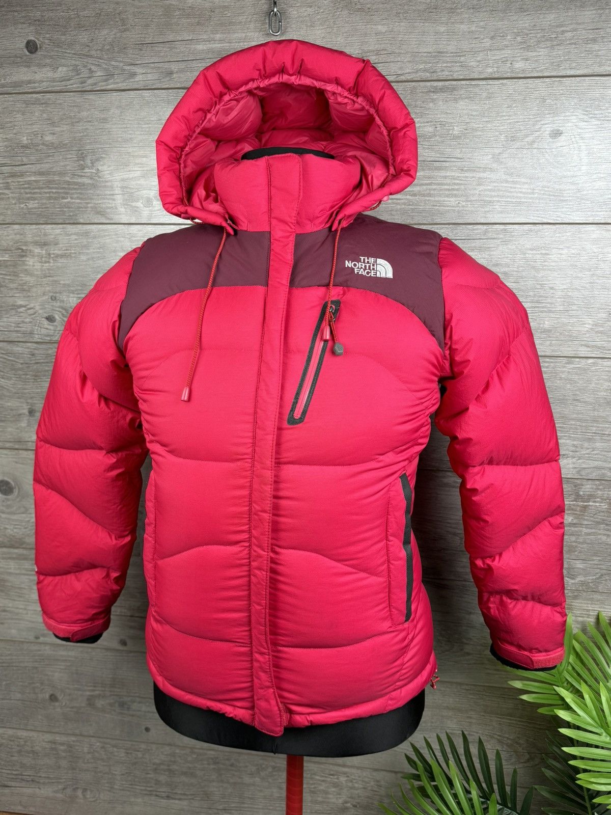 THE NORTH FACE DOWN JACKET BALTORO 800 SUMMIT SERIES Y2K