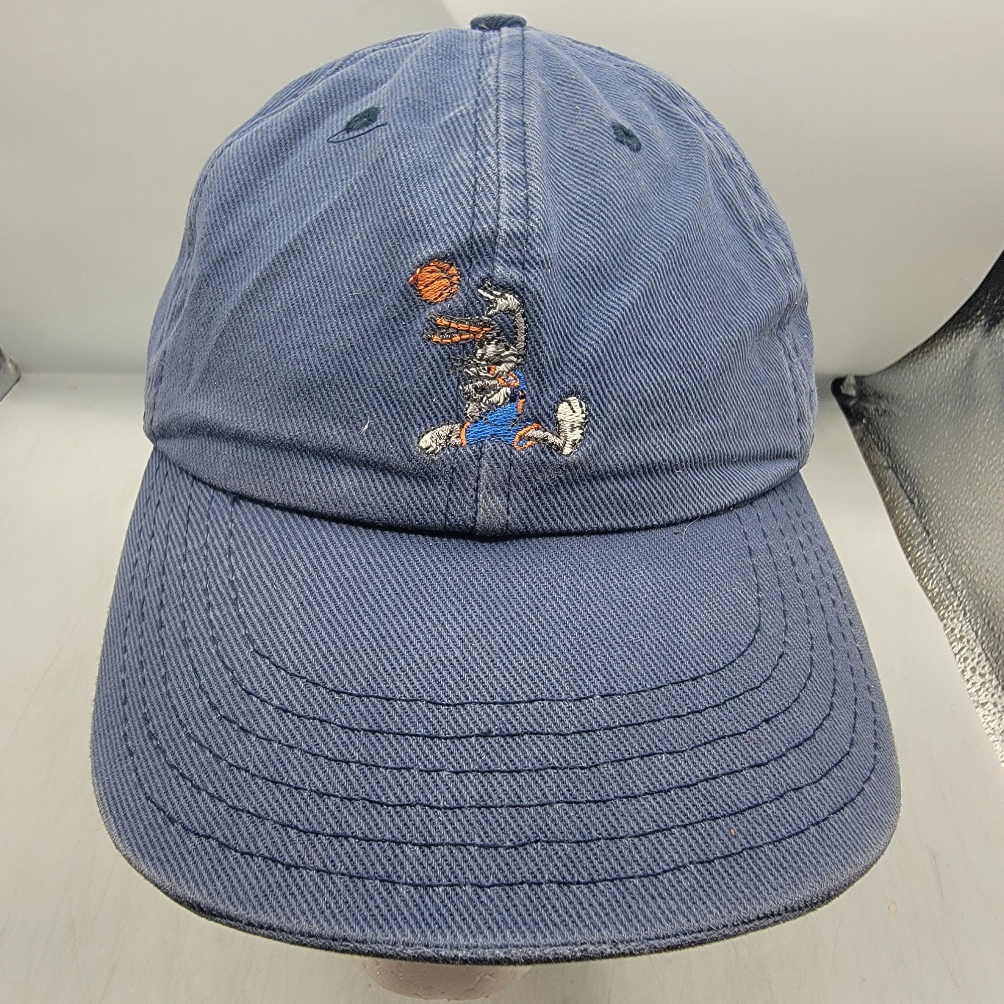 Other Space Jam x Love Your Melon Adults Blue Baseball Hat Cap Bug Size ONE SIZE - 1 Thumbnail