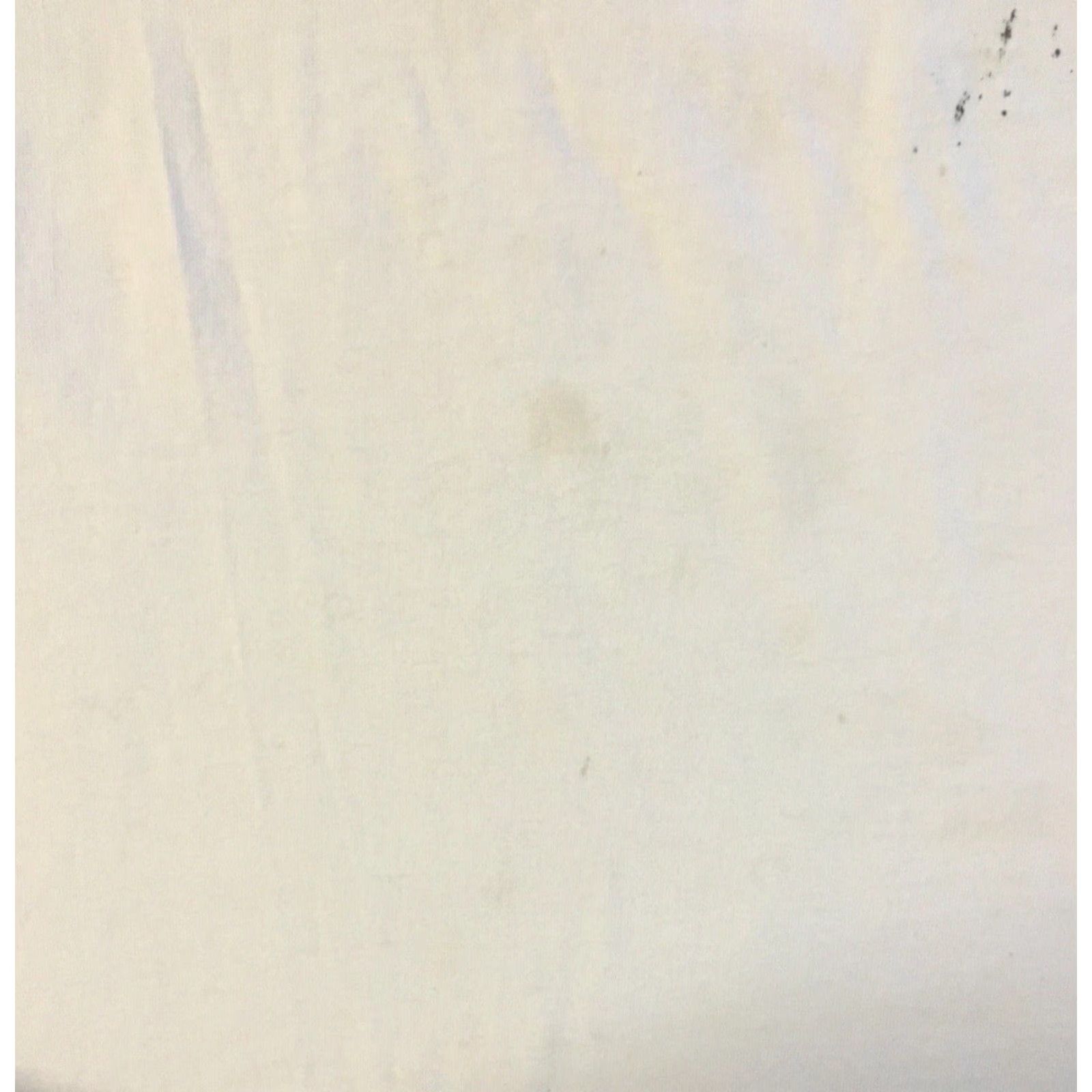 Apple Vtg Intel Faded Distress Software Promo Shirt L XL Internet Apple Grunge 90s Y2K Size US L / EU 52-54 / 3 - 6 Thumbnail