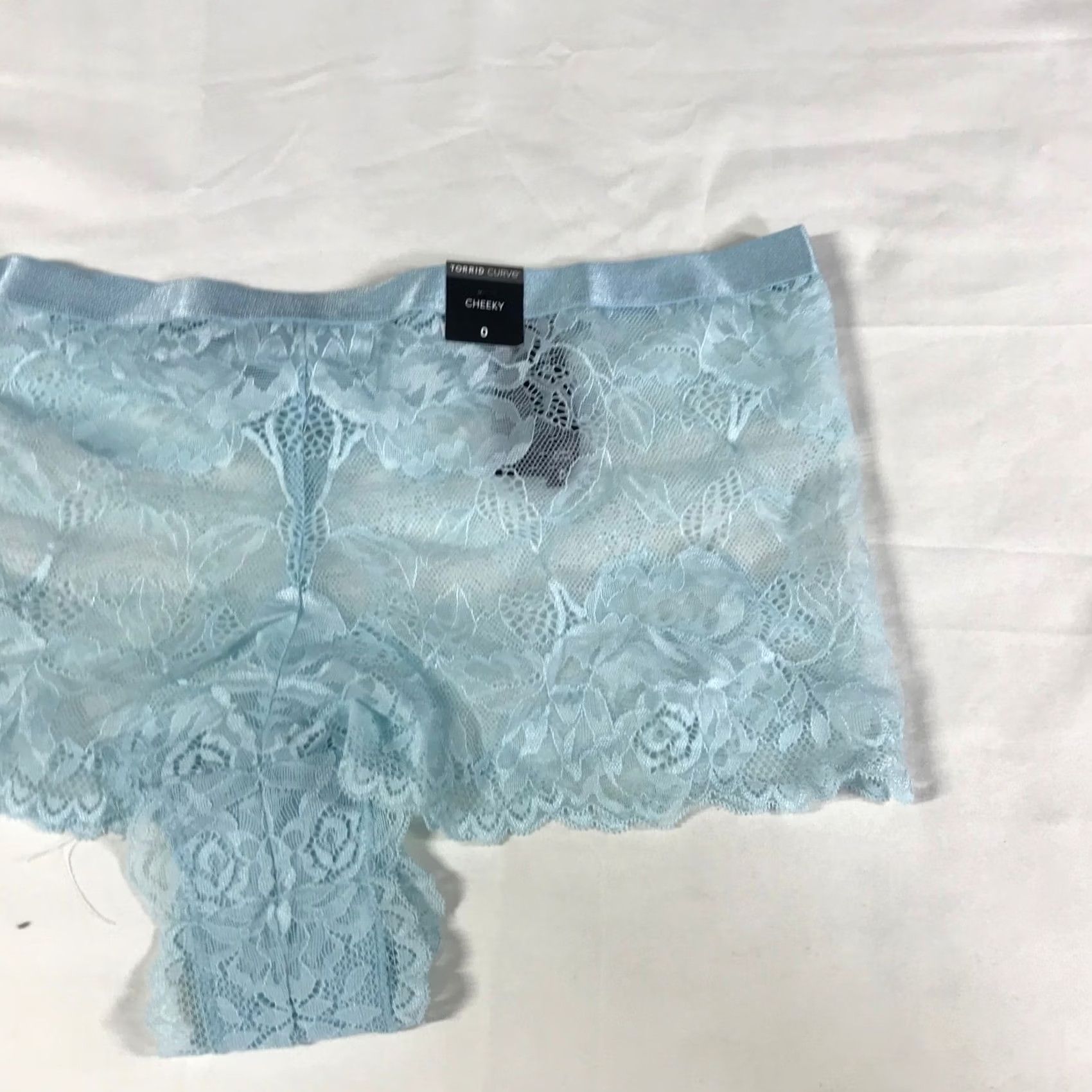 Torrid Torrid Curve Plus Size Cheeky Lace Panties Light Blue Floral Size 25" / US 0 / IT 36 - 3 Thumbnail