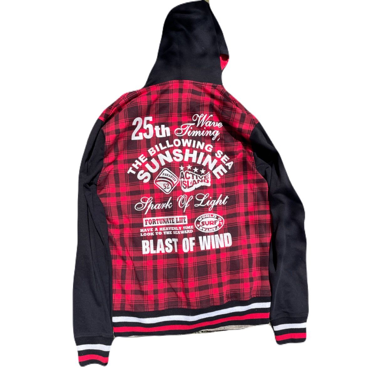 If Six Was Nine 2000s Japanese archive Vkei Poem Plaid Zip-Up Hoodie Y2K Size US M / EU 48-50 / 2 - 4 Thumbnail