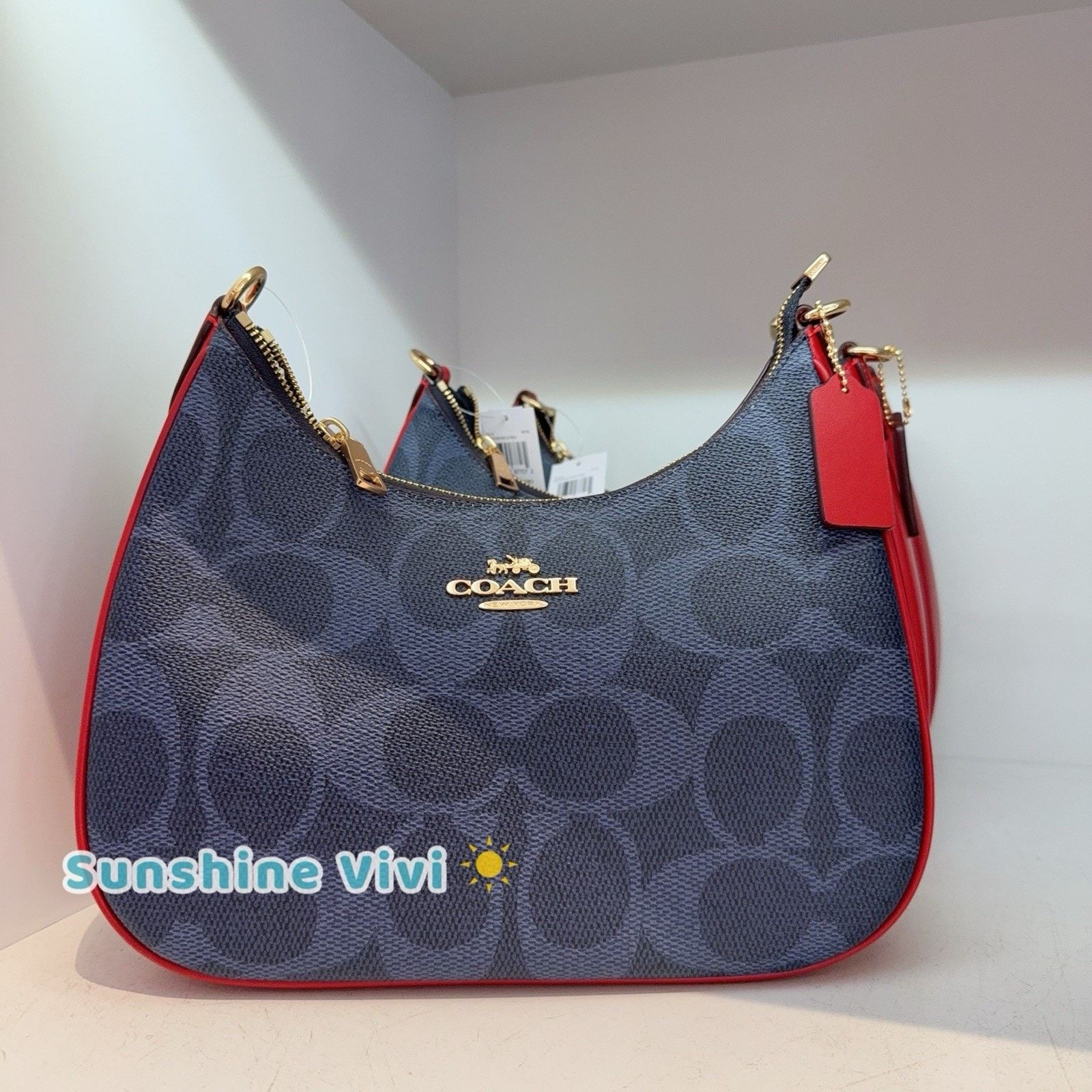 Coach NWT COACH Teri Hobo Bag With Strawberry Print CAL67