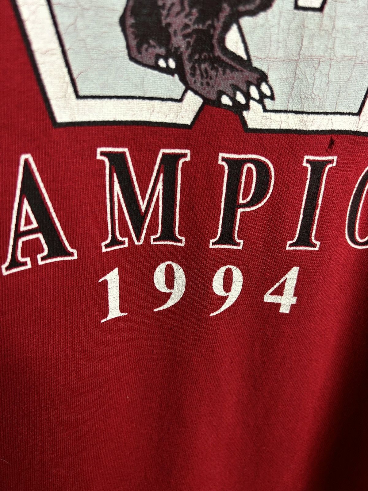 NFL 90s Rose Bown Wisconsin Badgers 1994 Champions T-Shirt Red L Size US L / EU 52-54 / 3 - 4 Thumbnail