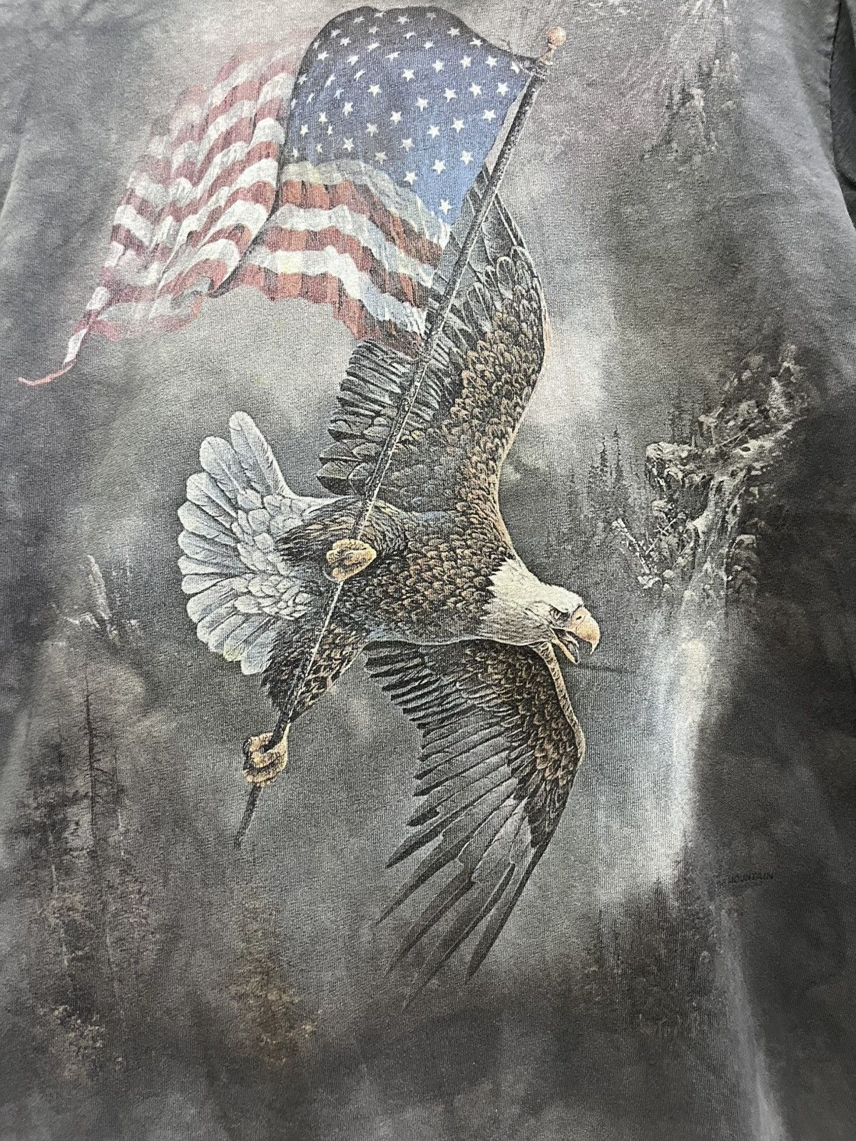 The Mountain Vintage The Mountain American Eagle Longsleeve Size US M / EU 48-50 / 2 - 5 Thumbnail