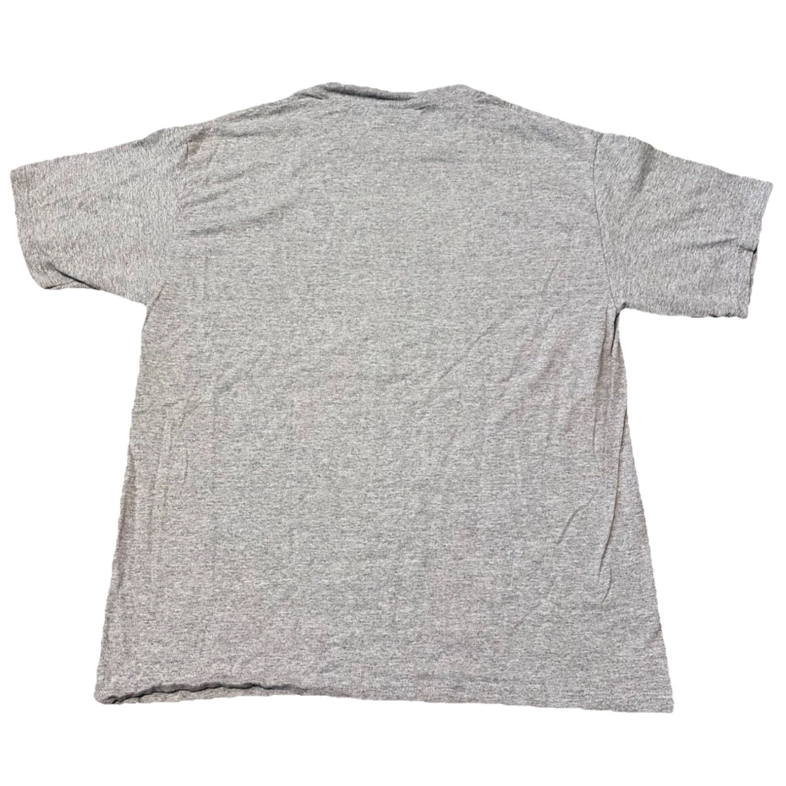 NFL VINTAGE Tampa Bay Buccaneers Super Bowl XXXVII Champs 2003 NFL T-Shirt Large Gray Mens L Size US L / EU 52-54 / 3 - 2 Thumbnail