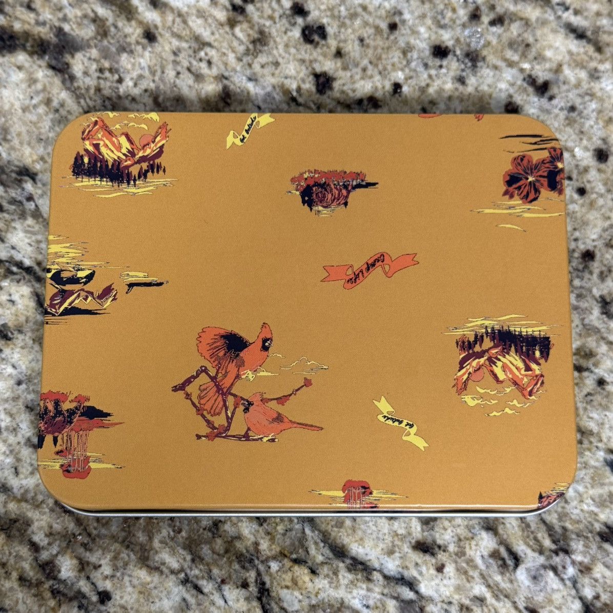 Eddie Bauer × Vintage Eddie Bauer “Camp Life” Tin Metal Storage Box 6x4.5x1” Inch Size ONE SIZE - 4 Thumbnail