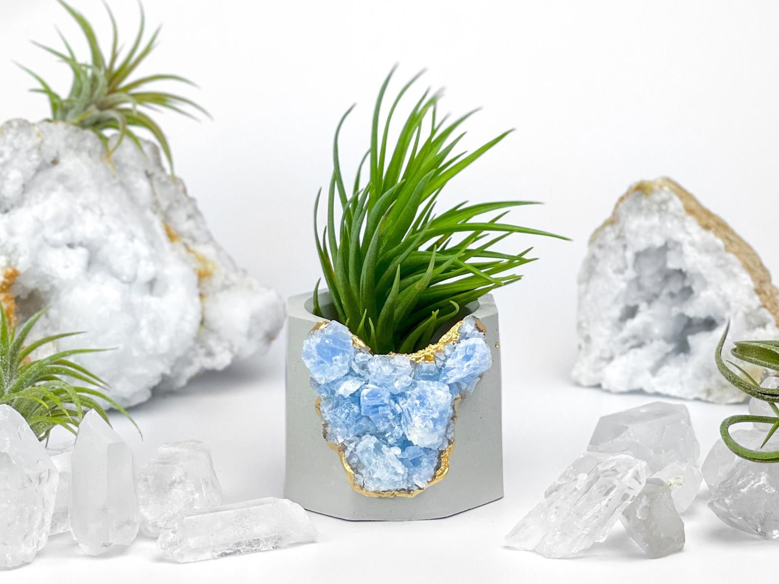 Other Succulent Crystal Planter | Geode Planter | Raw Blue Calcite Size ONE SIZE - 6 Thumbnail