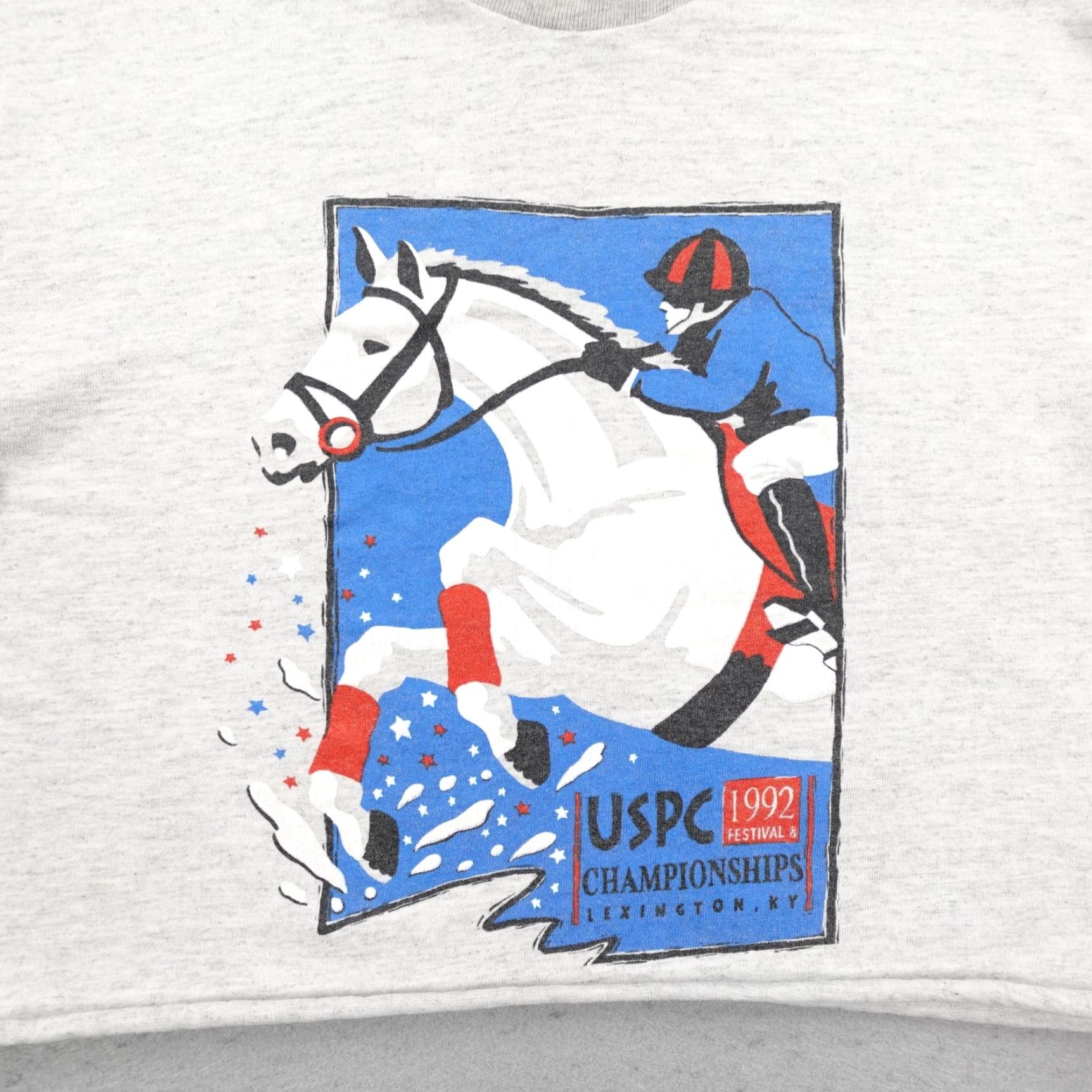 Anvil VINTAGE USPC Championships Shirt Womens Medium Gray Crop Top Horse Pony Club 90s Size M / US 6-8 / IT 42-44 - 3 Thumbnail