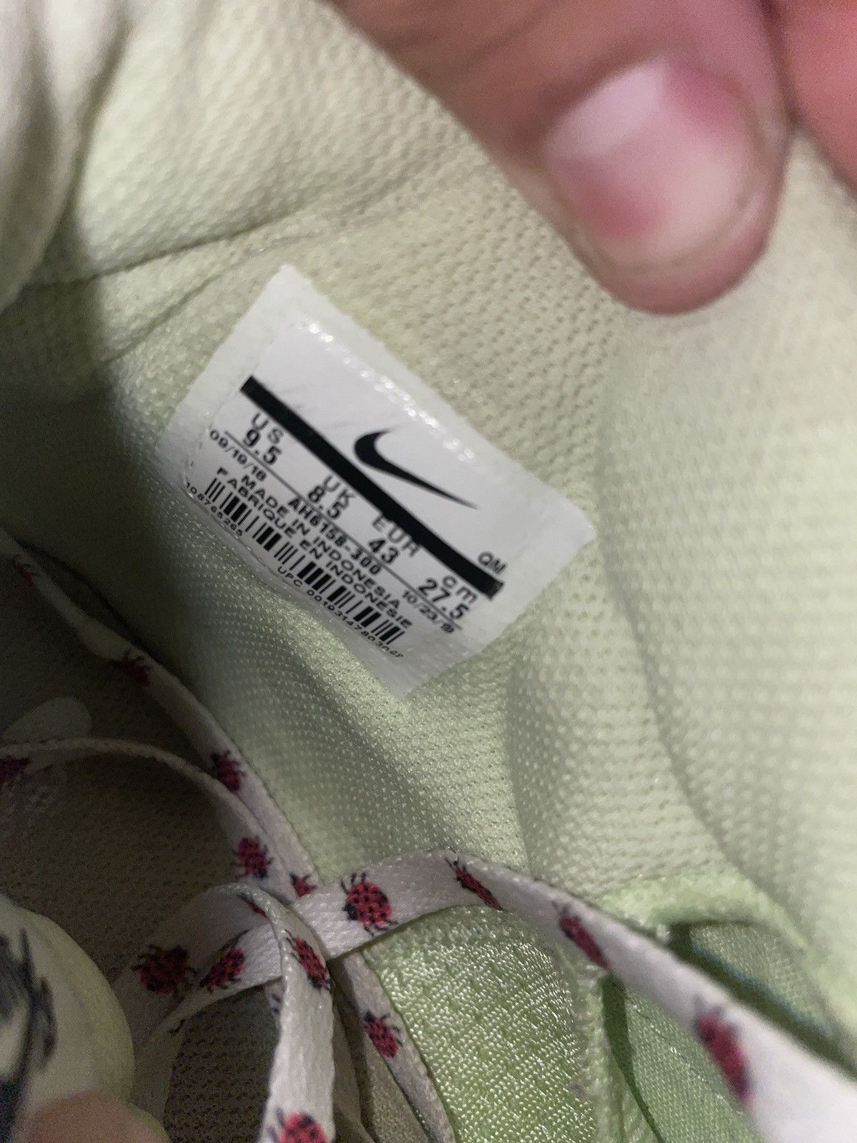 Nike SB Blazer x Frog Skateboards