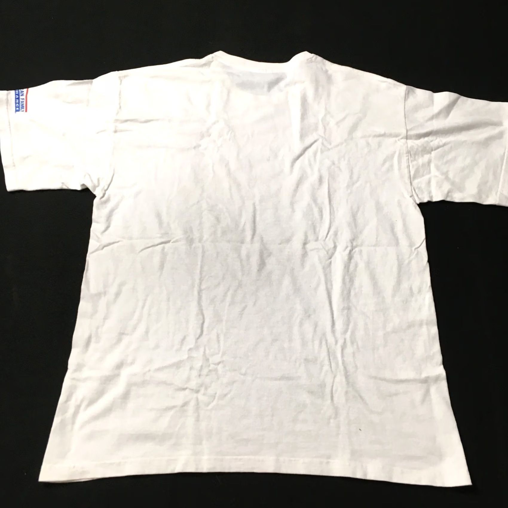 Gildan Asian American Festival T-Shirt Mens LARGE White Cotton Front Chest Design 90s Vintage Shirt Size US L / EU 52-54 / 3 - 7 Thumbnail