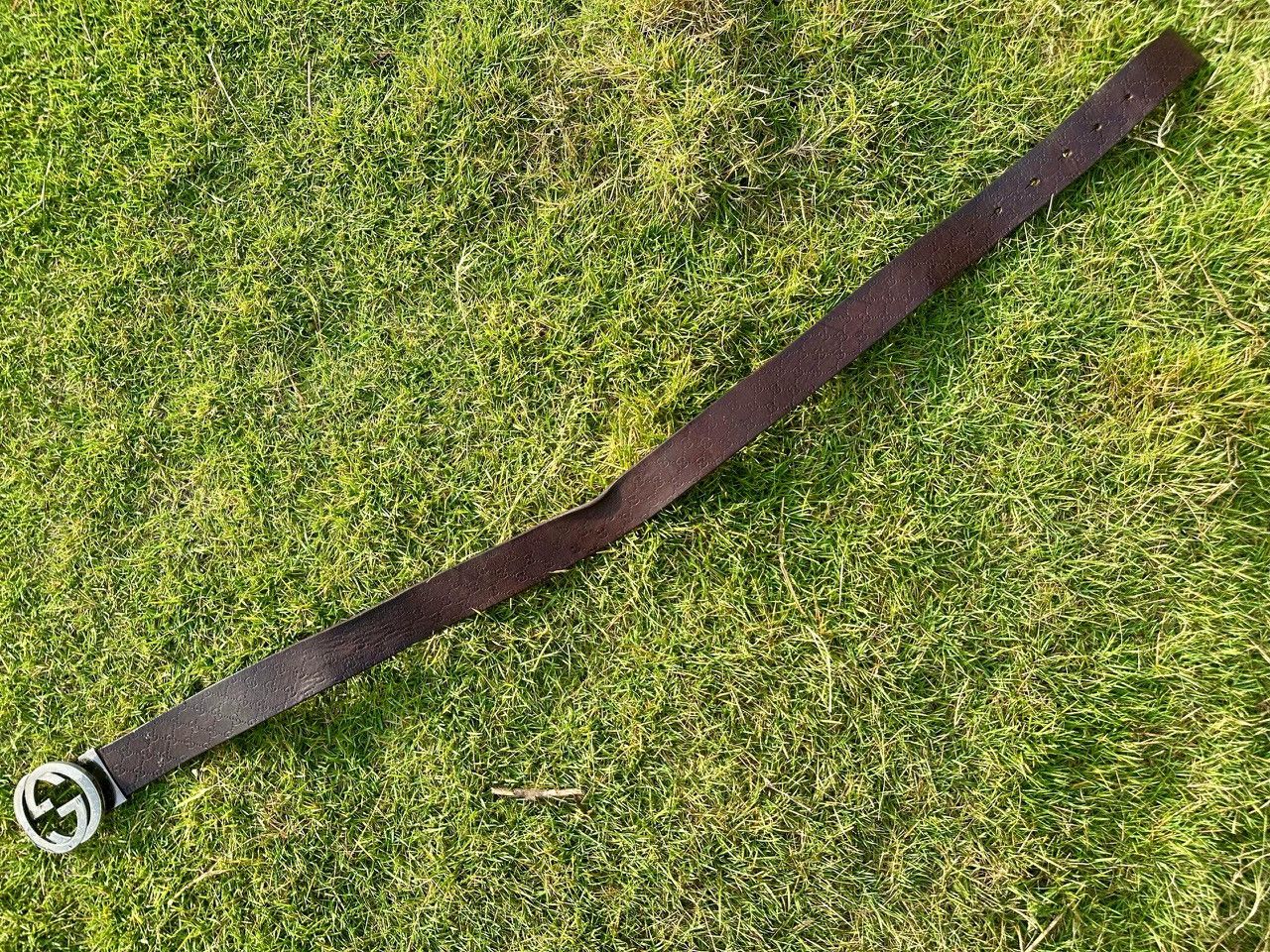 Gucci Authentic Gucci Micro Guccisima Brown Leather Belt Size ONE SIZE - 4 Thumbnail