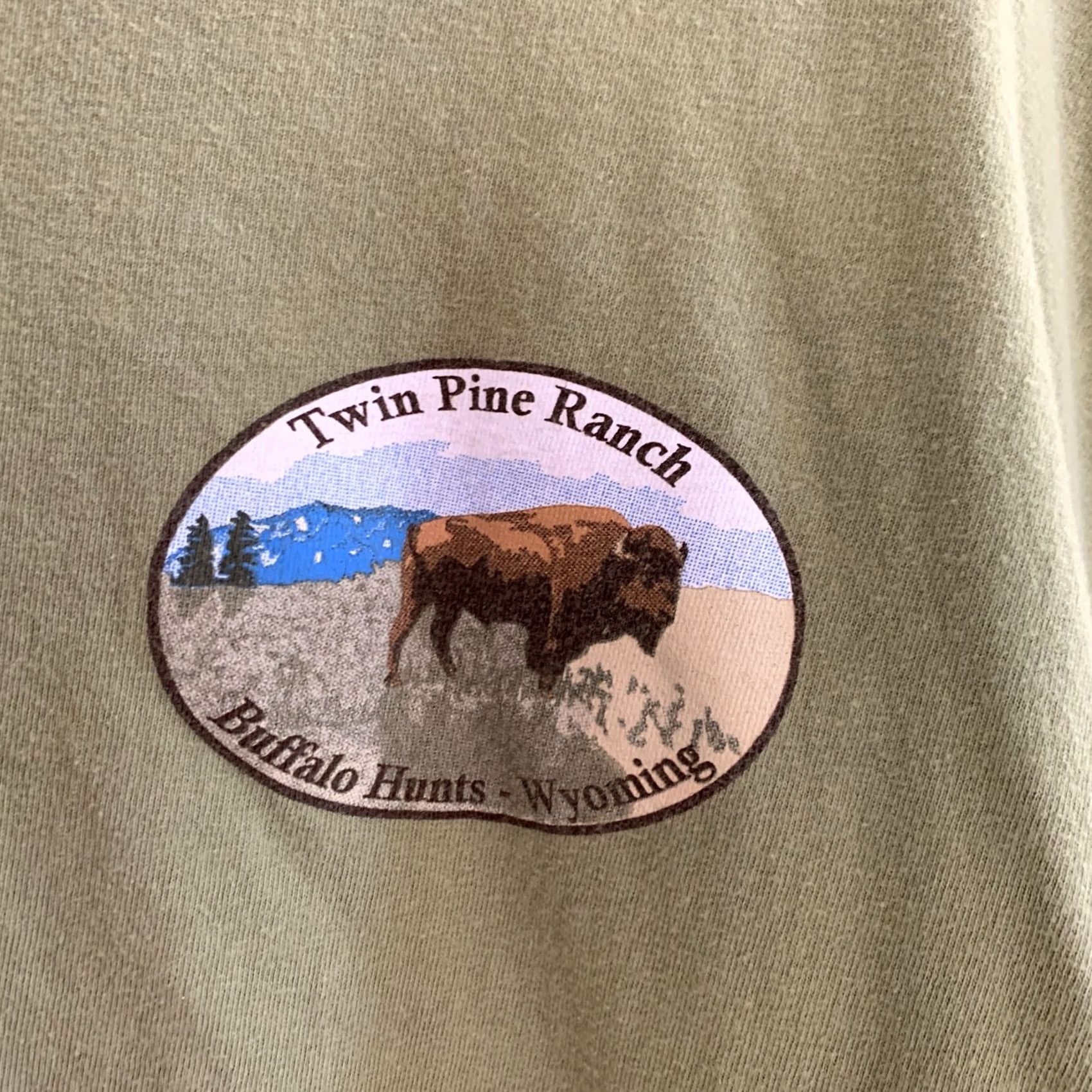 Hanes Hanes Buffalo Hunts Wyoming Tee T-Shirt Shirt Mens 2XL Green 100% Cotton Crew Neck Short Sleeve Outdoor Vintage? Size US XXL / EU 58 / 5 - 3 Thumbnail