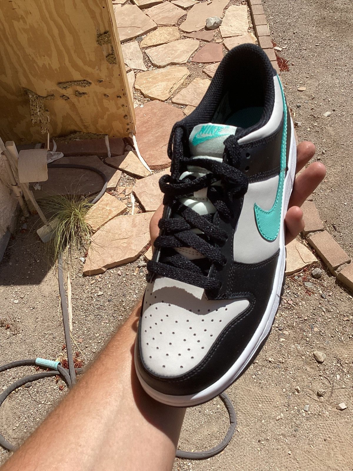 Nike Brand new Nike dunk low Tiffany grade school 7Y shoes Size US 12 / EU 45 - 3 Thumbnail