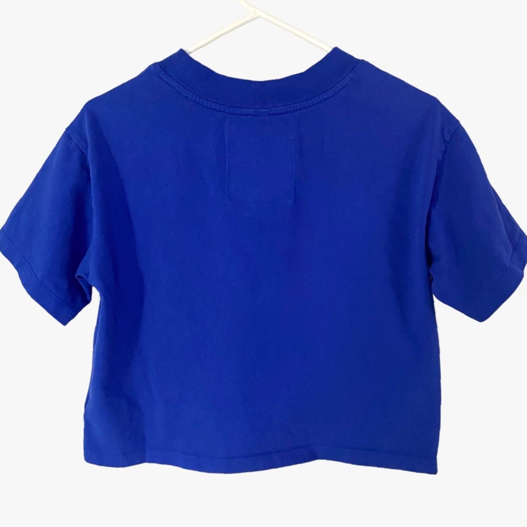 The North Face The North Face Cropped Mountain T-Shirt Womens Small Blue Graphic Casual Tee Size S / US 4 / IT 40 - 3 Thumbnail