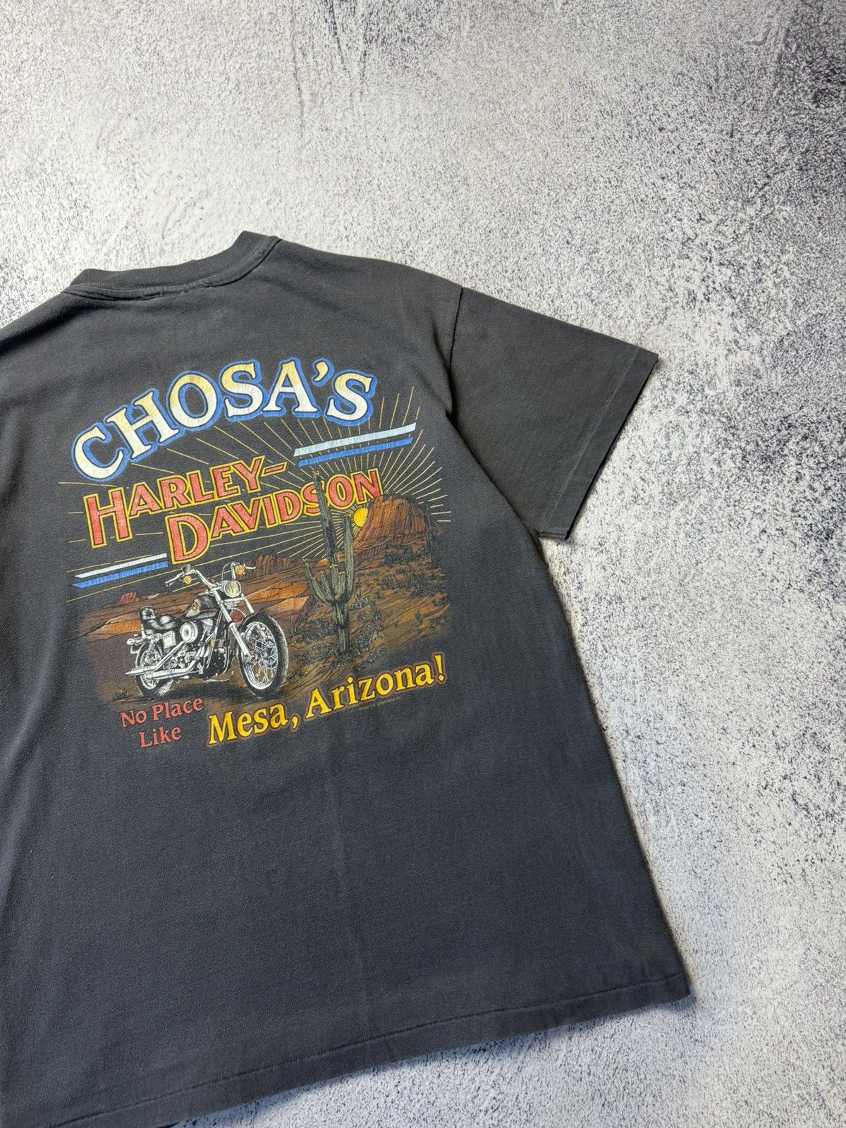 Harley Davidson Vintage Harley Davidson 1993 USA Chosa’s Mesa Arizona Y2K Size US L / EU 52-54 / 3 - 20 Thumbnail