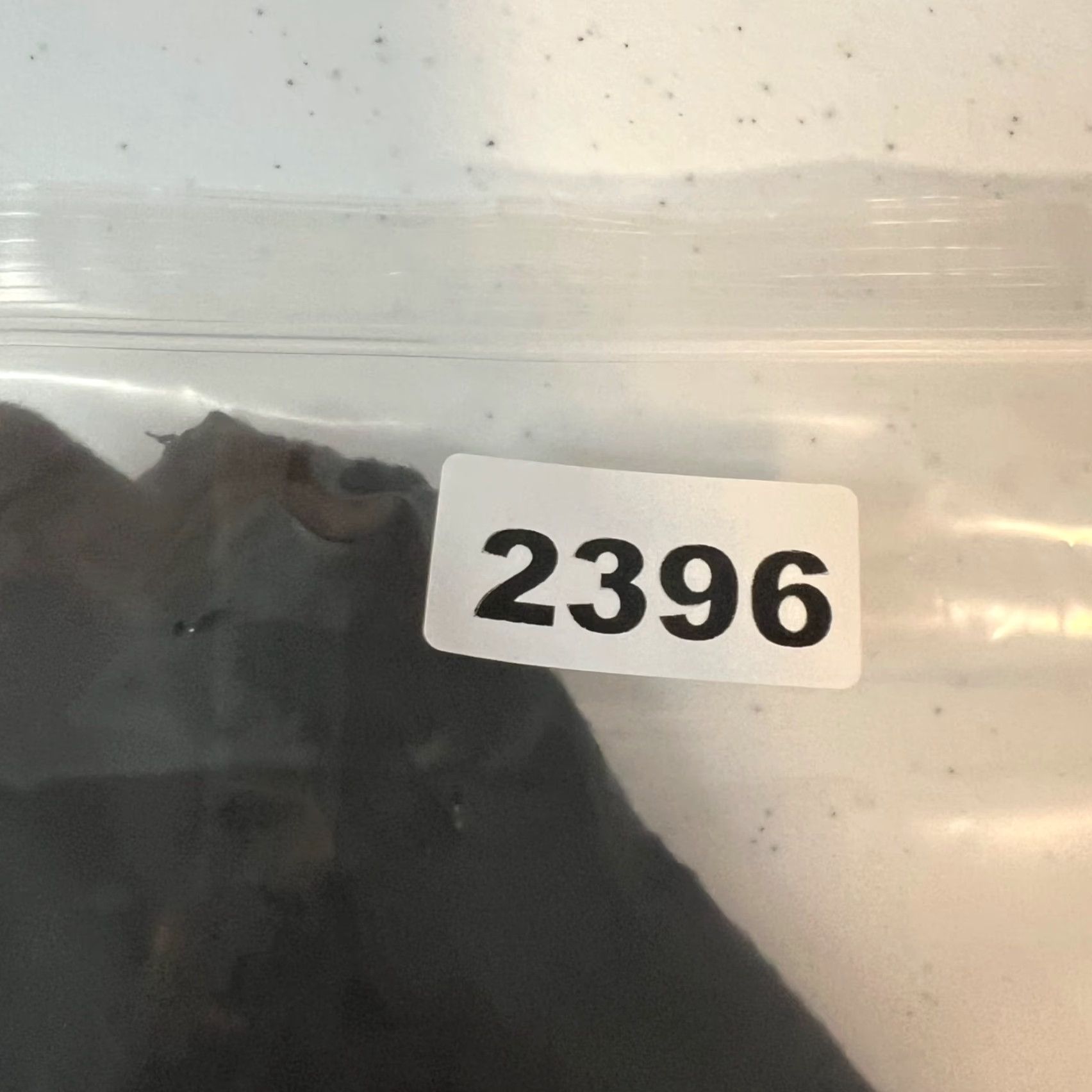 Z Supply Z Supply Black Long Sleeve Maxi Dress XS Women Maxi Dress XS Black Rayon Polyester Spandex Casual 90s? Wait no decade. Size XS / US 0-2 / IT 36-38 - 7 Thumbnail