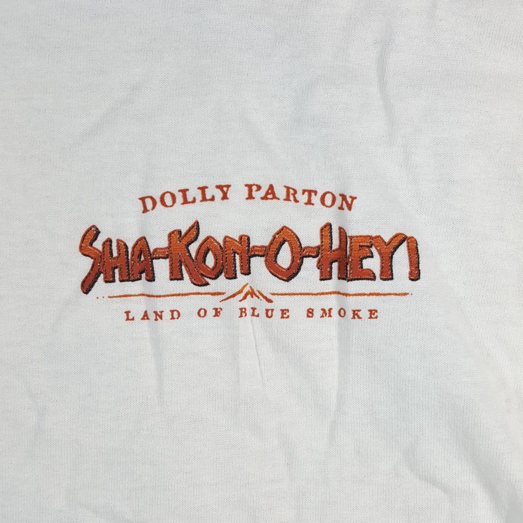 Delta VINTAGE Dolly Parton Country Music Men’s XL T-Shirt Delta 90s 00s Tour Logo Embroidered White Cotton Short Sleeve Crew Neck Shirt Size US XL / EU 56 / 4 - 4 Thumbnail