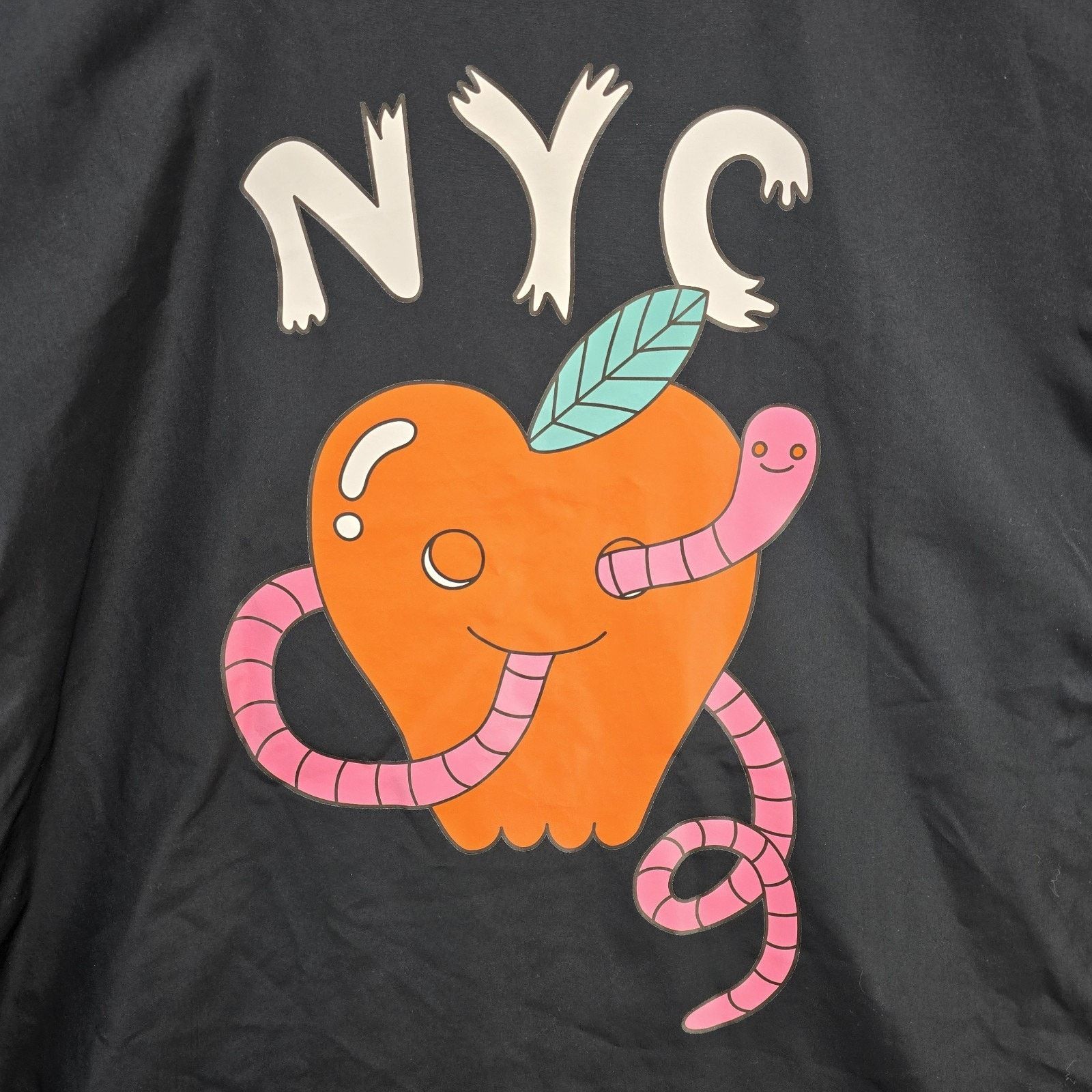 Champion Champion Reddit Snoo Summit Outdoors Windbreaker Jacket XL Size US XL / EU 56 / 4 - 10 Thumbnail