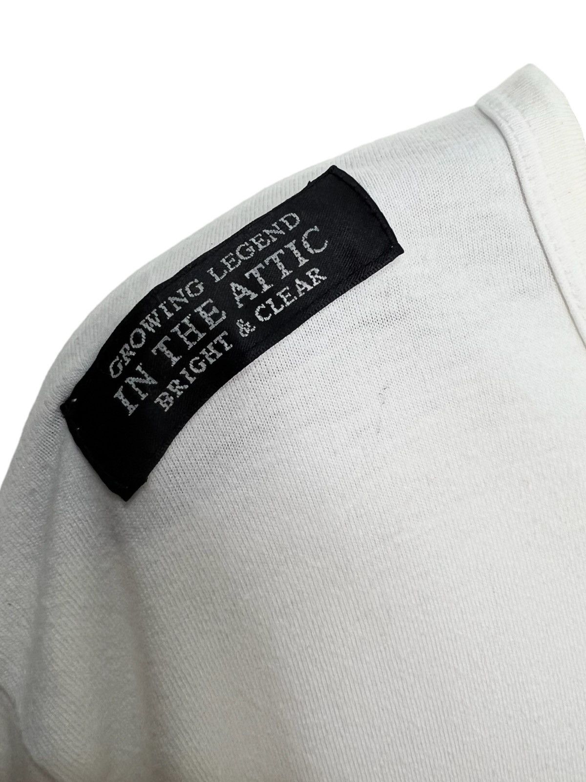 In the attic - dark haze Longsleeve if6was9
