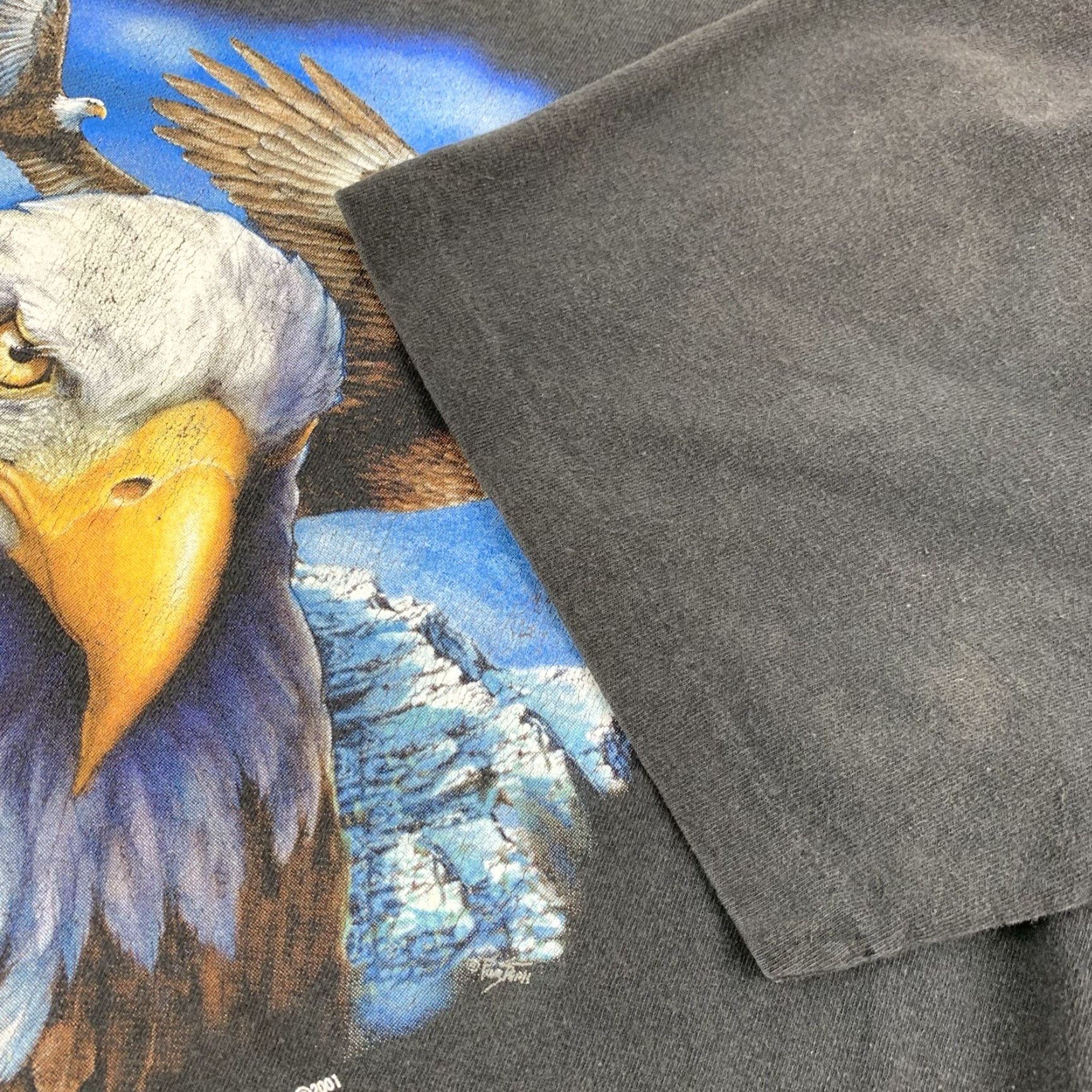 Vintage VINTAGE Bald Eagle Shirt Adult Medium Black USA 90s Nature Animals Freedom Y2K Faded Men Shirt M Black/Grey? Size US M / EU 48-50 / 2 - 4 Thumbnail