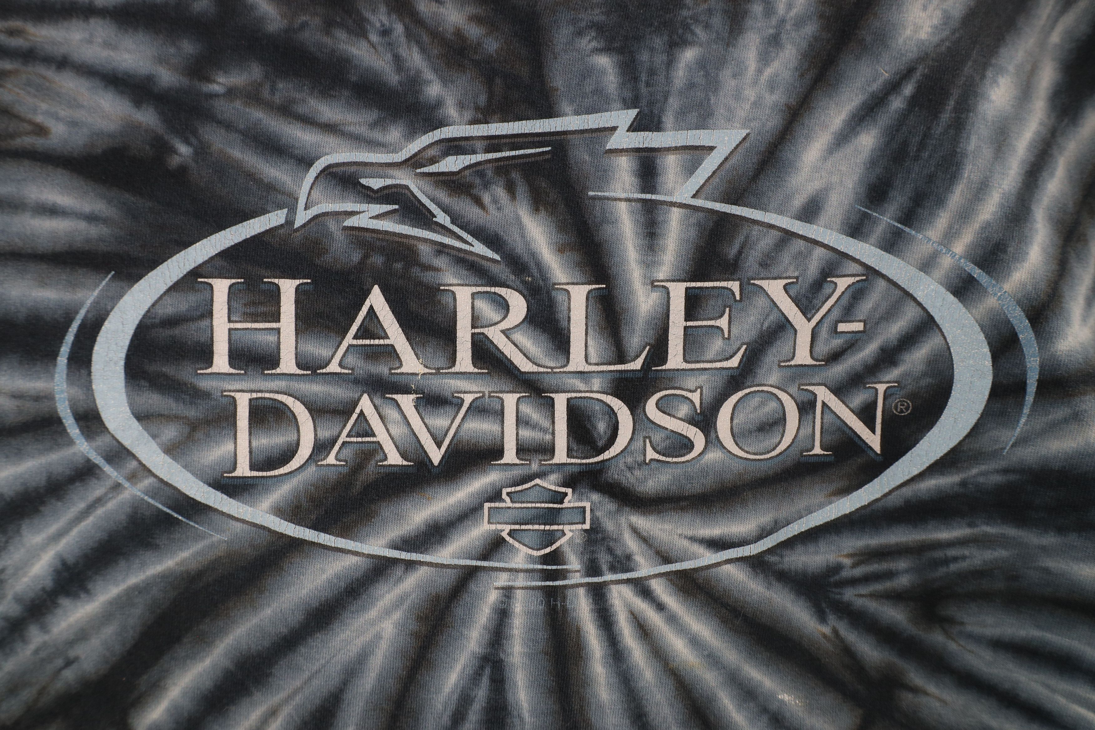Harley Davidson × Vintage Vintage Y2K 2000 Harley Davidson Eagle Tie Dye T-Shirt USA Size US L / EU 52-54 / 3 - 4 Thumbnail