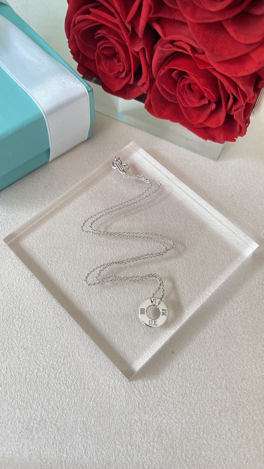 Tiffany & Co. Tiffany & Co. Atlas Circle Pendant Silver 16” inch NEW Size ONE SIZE - 14 Thumbnail