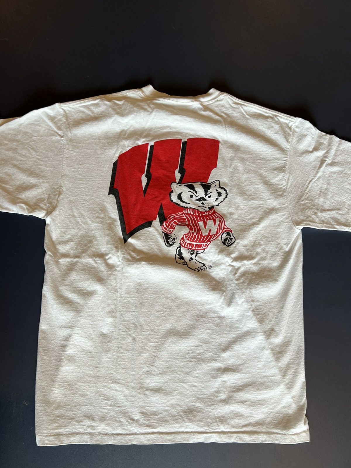 Vintage Wisconsin Badgers Vintage Graphic Tee Size US XL / EU 56 / 4 - 7 Thumbnail