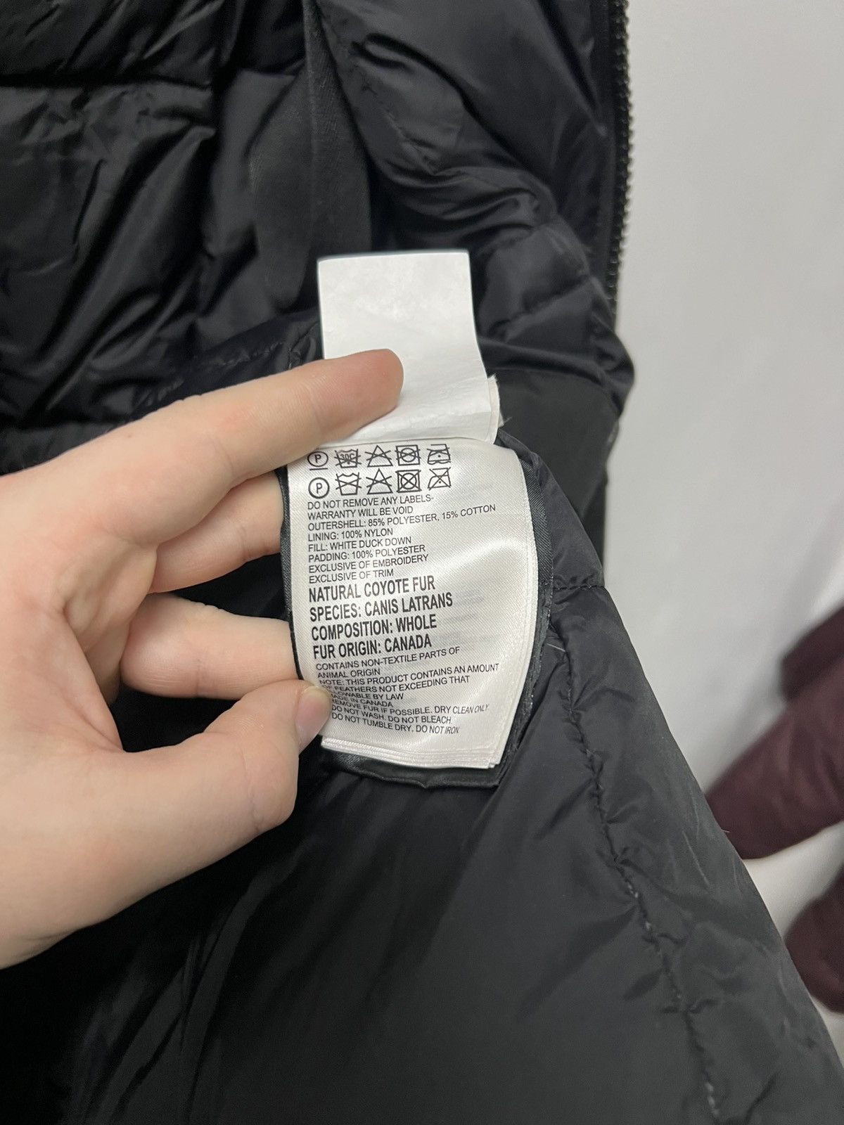 Canada Goose Canada goose puffer jacket Size US S / EU 44-46 / 1 - 14 Thumbnail