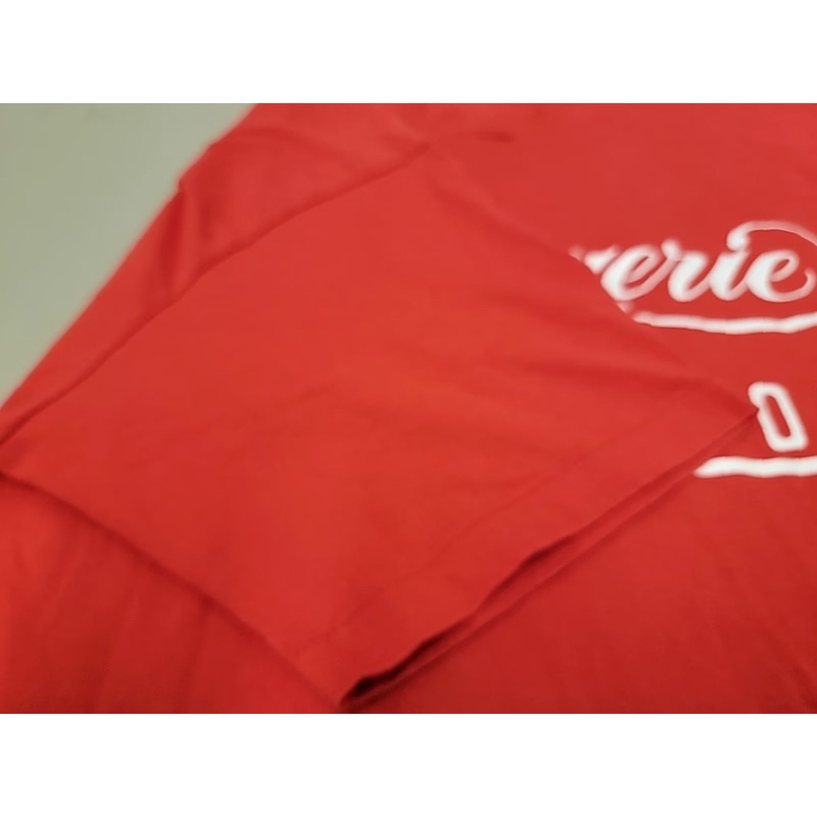 Anvil VINTAGE Anvil T-Shirt Mens XL Red 90s Shirt Crew Neck Short Sleeve Graphic Print Vintage 90s Mens XL Red Anvil T-Shirt Size US XL / EU 56 / 4 - 6 Thumbnail