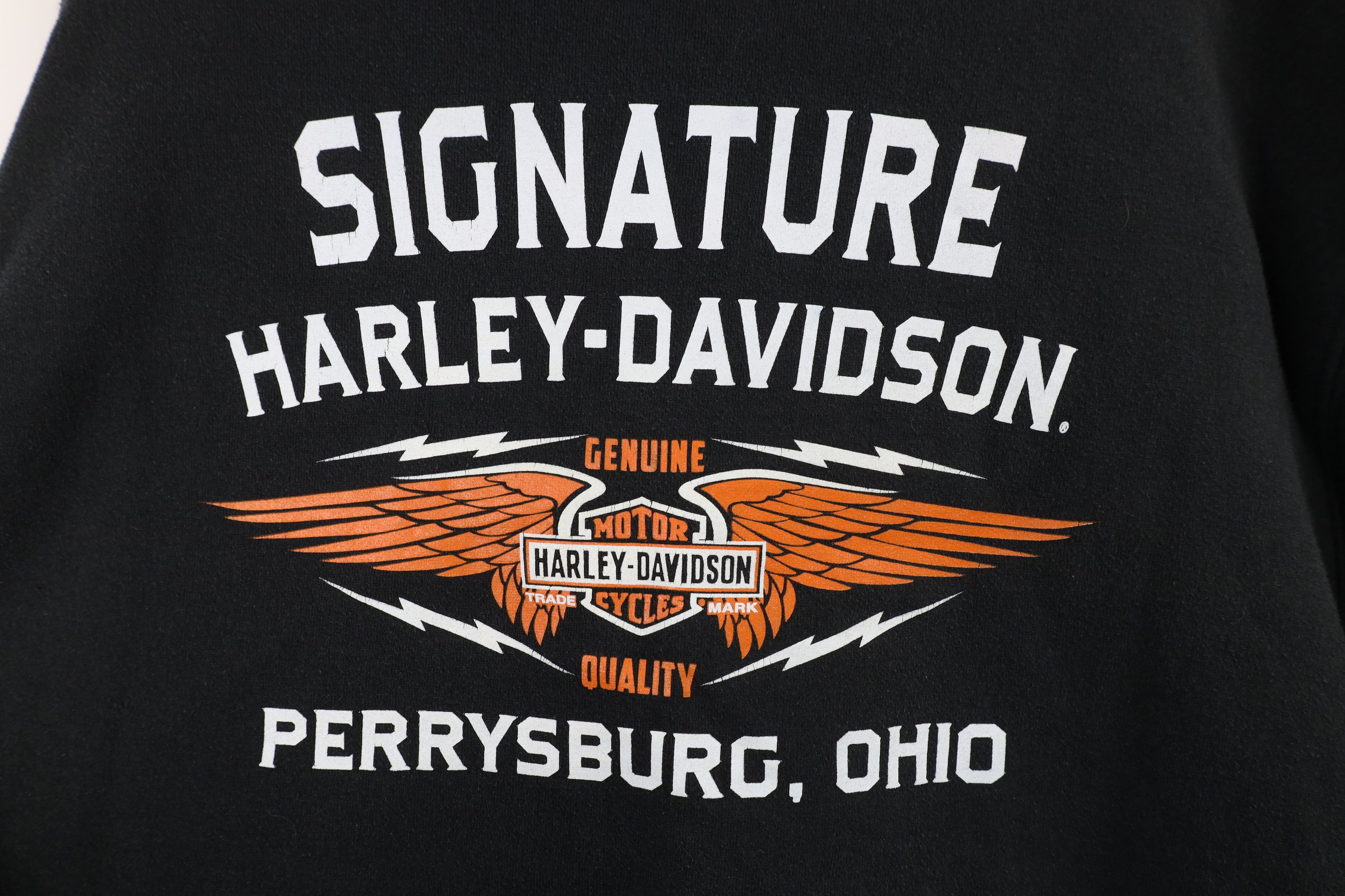 Harley Davidson Vintage Y2K Harley Davidson Spell Out Full Zip Hoodie Size US L / EU 52-54 / 3 - 11 Thumbnail